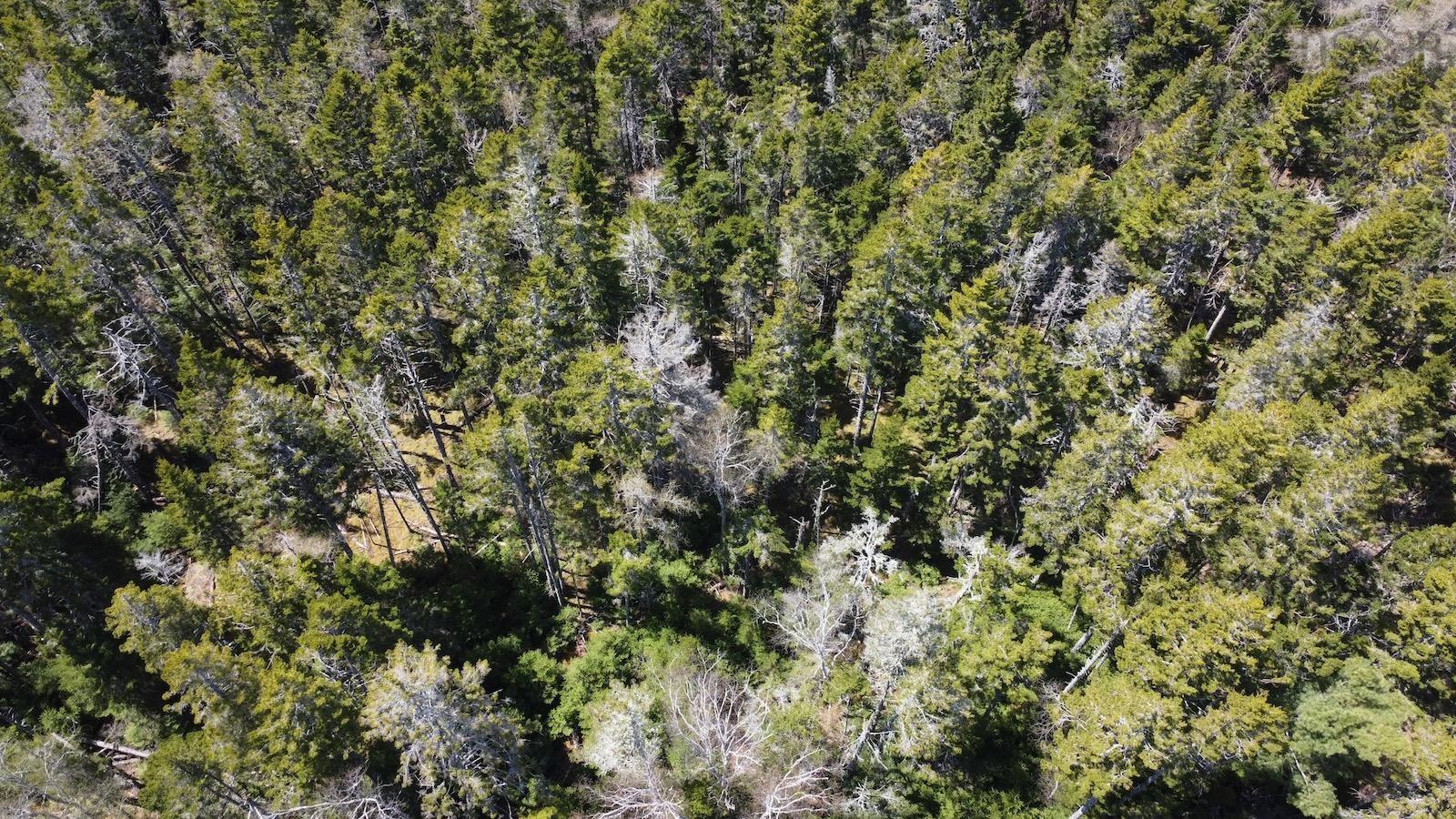 $55,500.00: Lot 6 Roberts Island Drive, Roberts Island