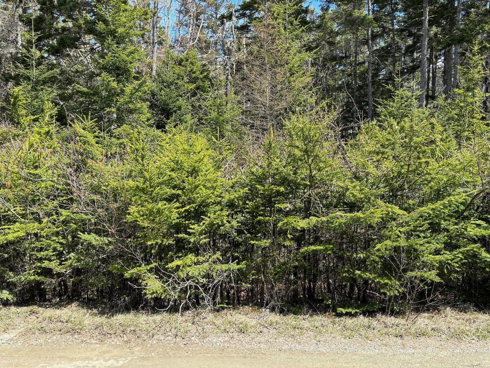 $55,500.00: Lot 6 Roberts Island Drive, Roberts Island