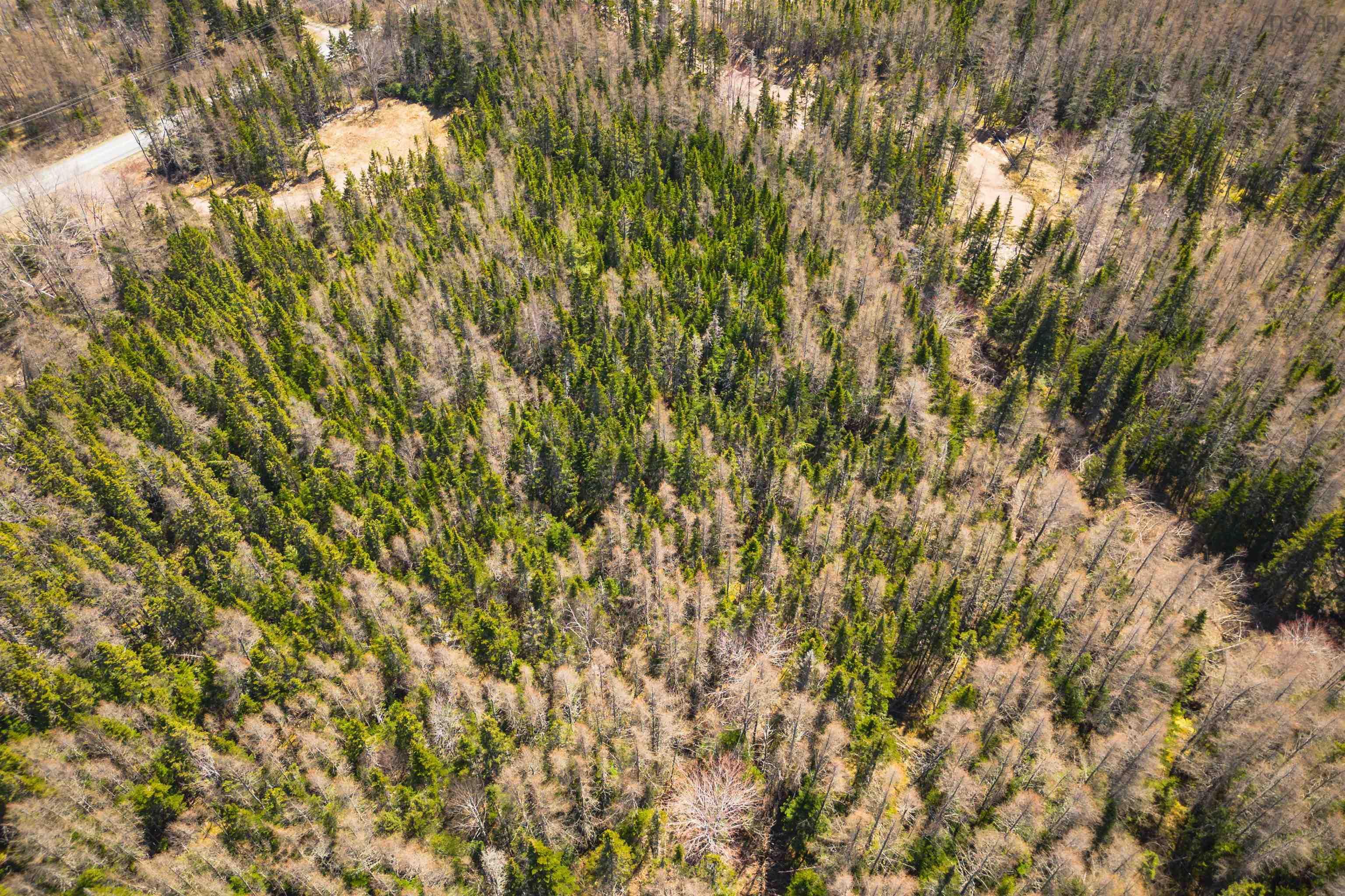 $27,000.00: Lot 6 Highway 4, Cleveland