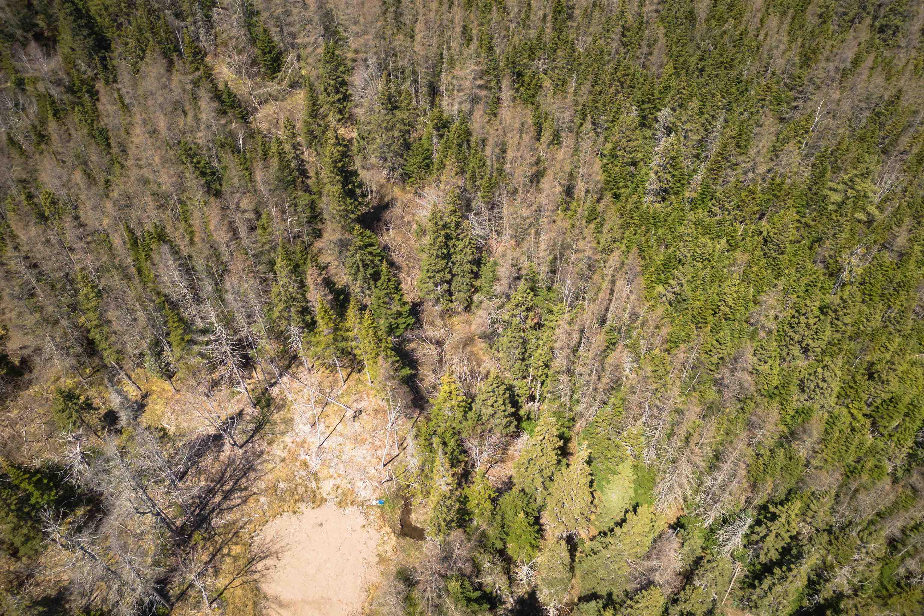 $27,000.00: Lot 6 Highway 4, Cleveland