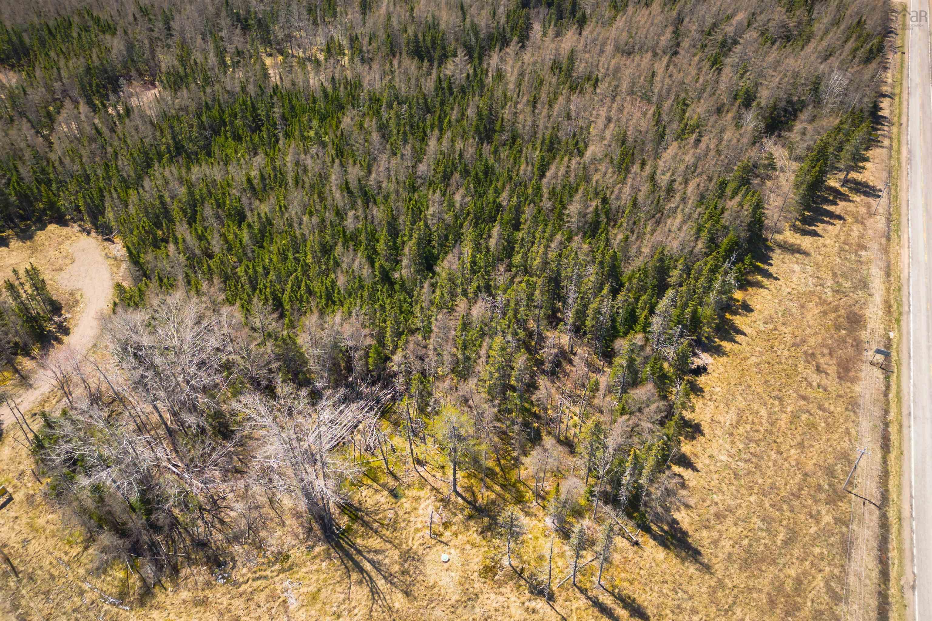 $27,000.00: Lot 6 Highway 4, Cleveland