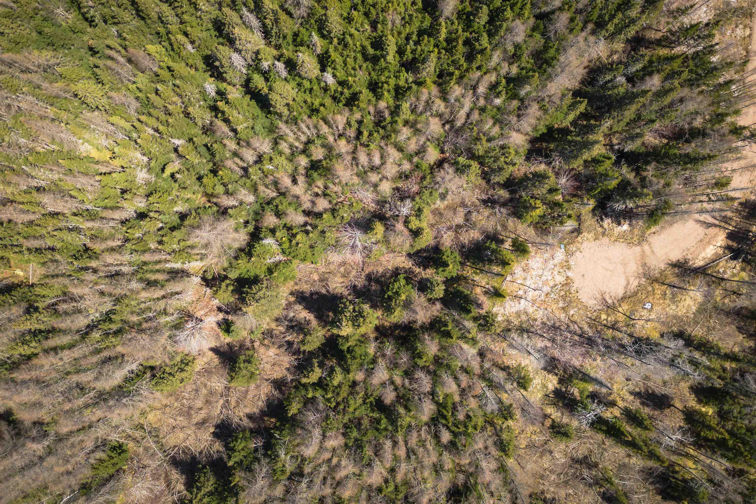 $27,000.00: Lot 6 Highway 4, Cleveland