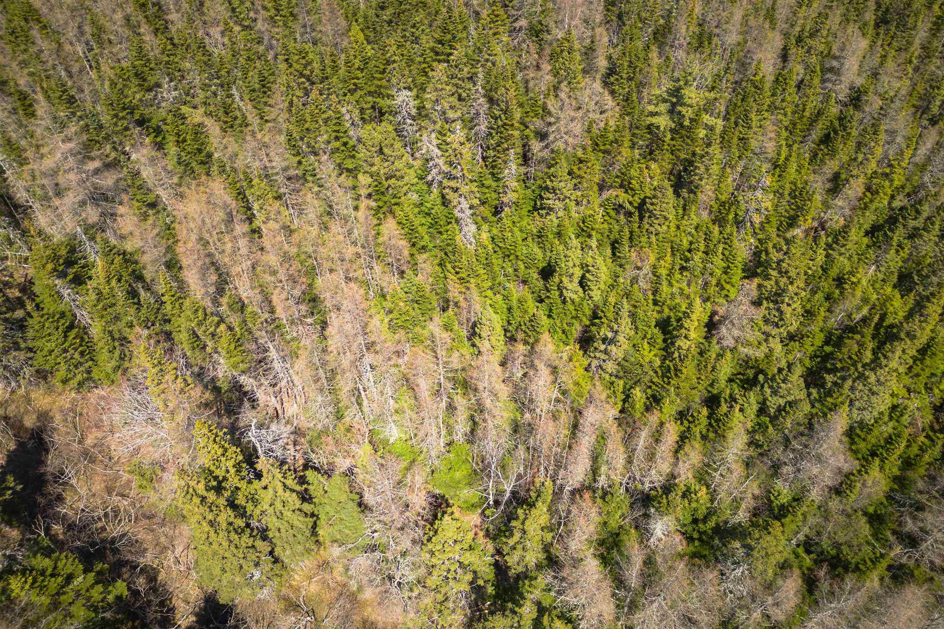 $27,000.00: Lot 6 Highway 4, Cleveland