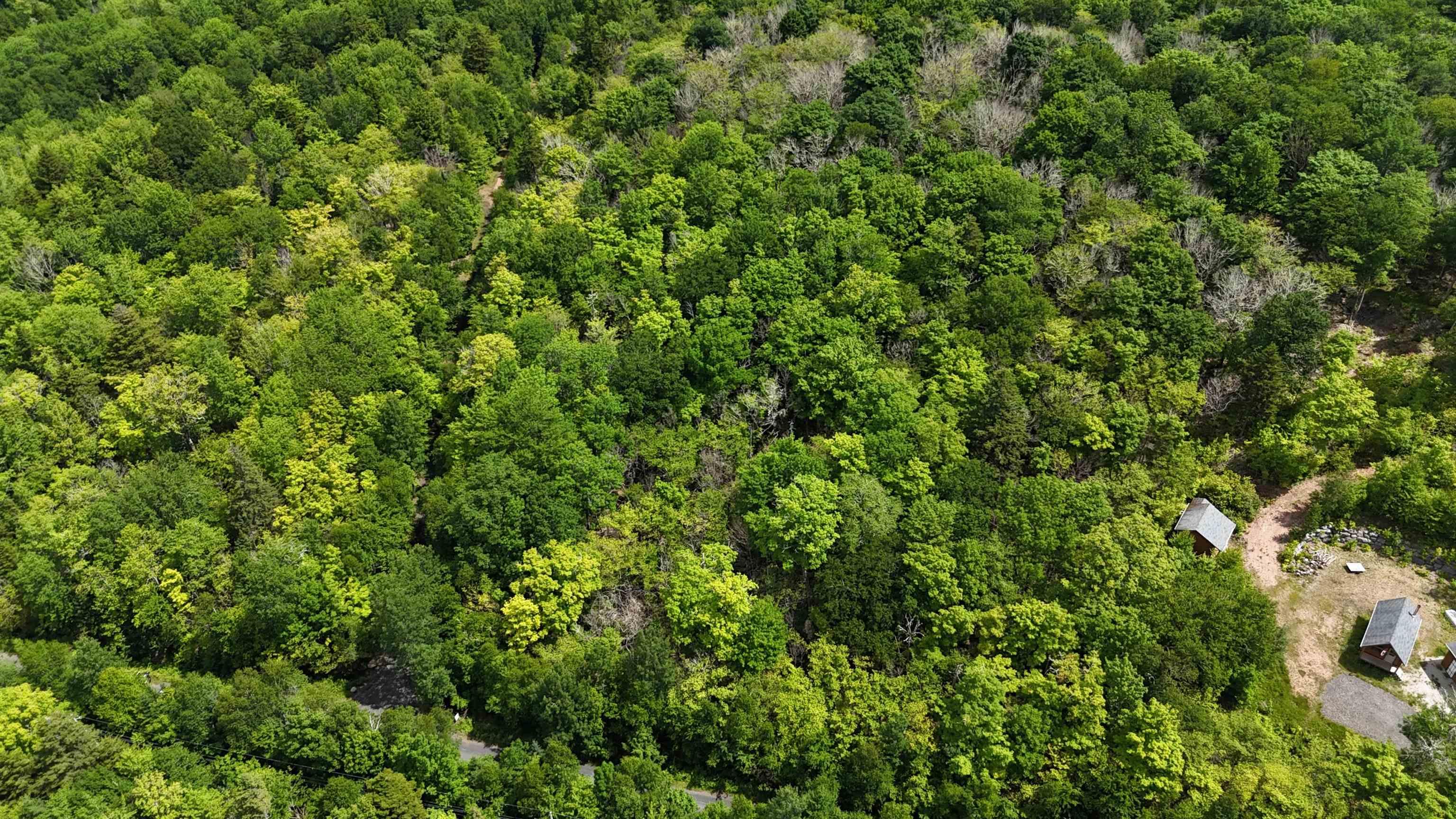 $40,000.00: 26 Hemlock Drive, Forties