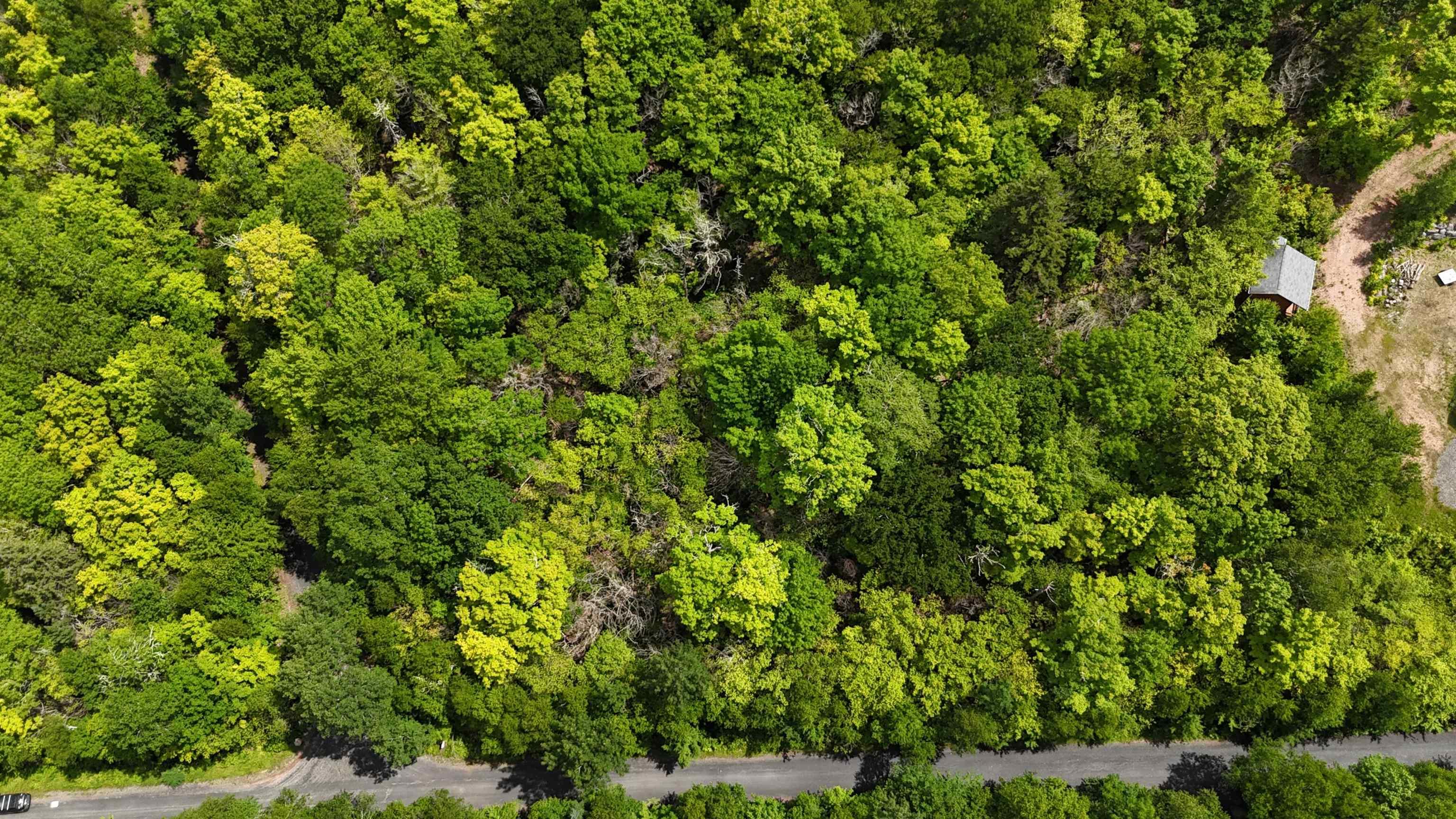 $40,000.00: 26 Hemlock Drive, Forties