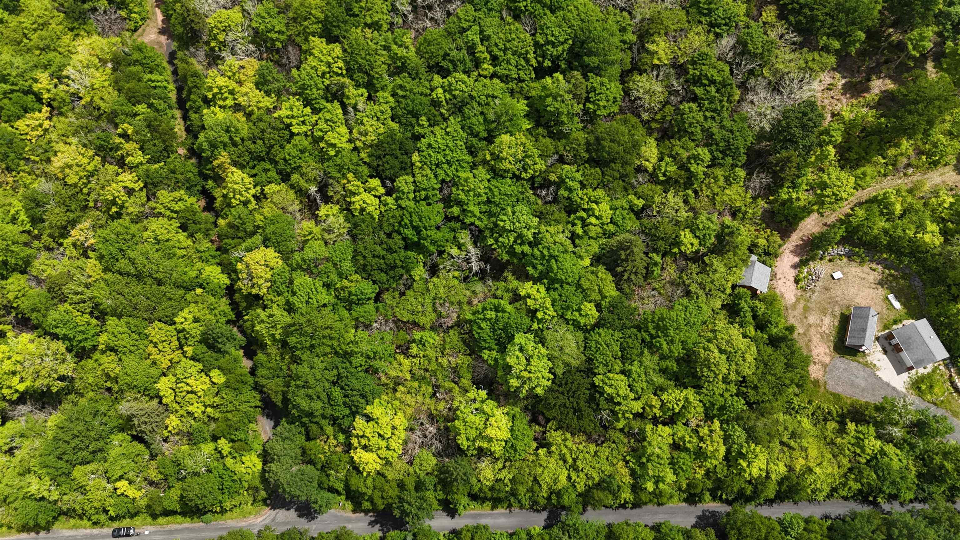 $40,000.00: 26 Hemlock Drive, Forties