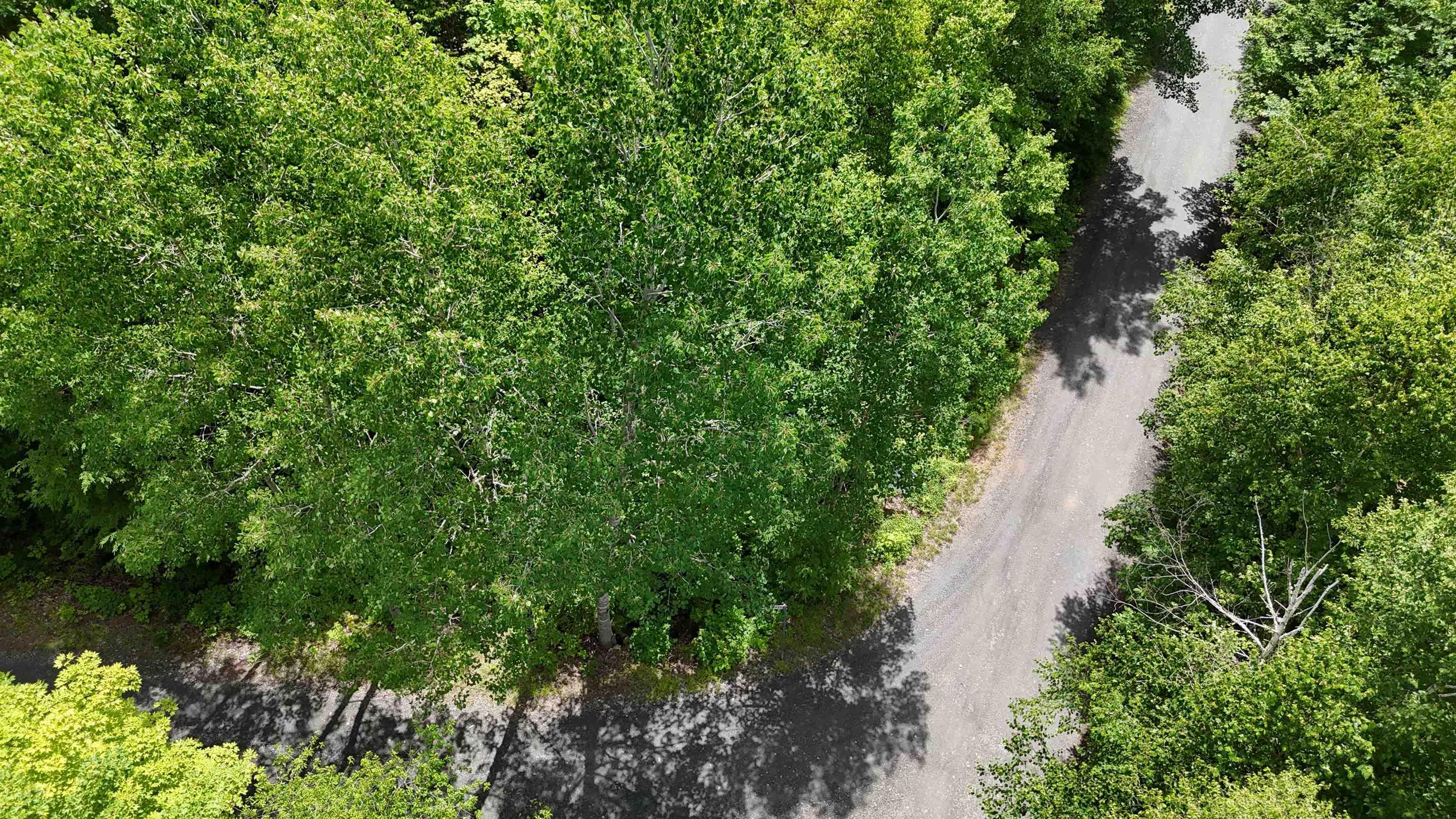 $40,000.00: 26 Hemlock Drive, Forties