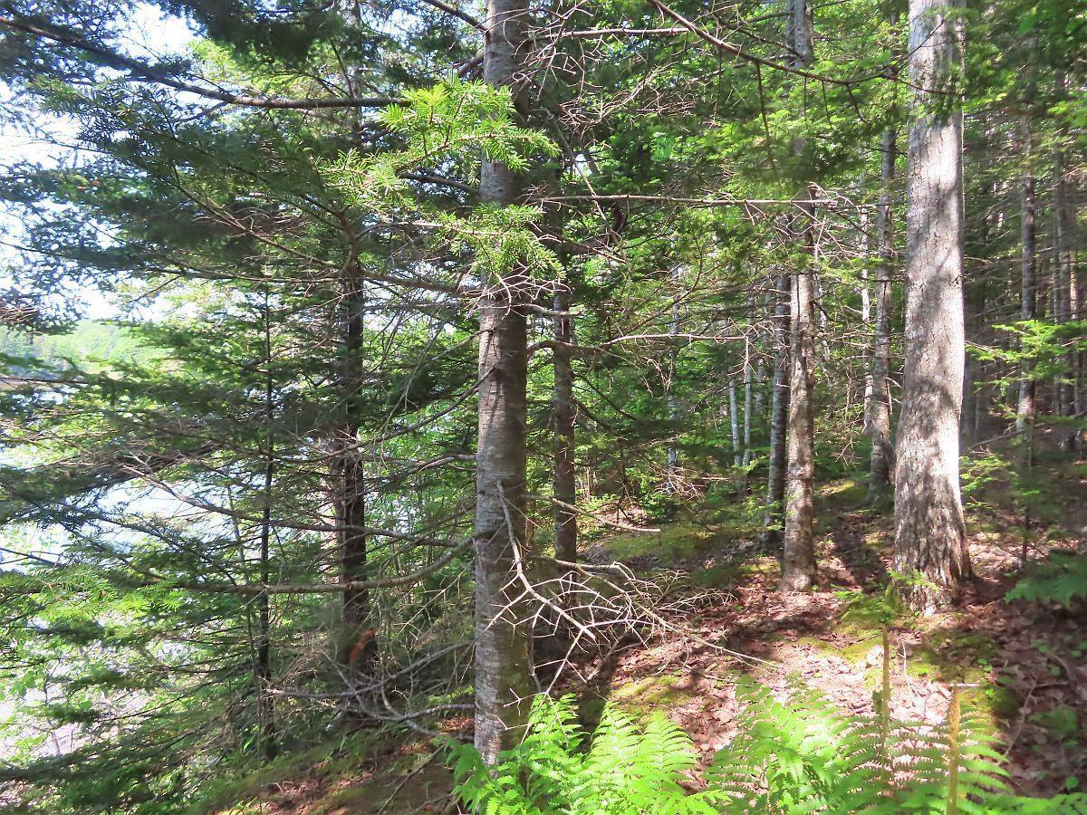 $75,000.00: Lot 12A Dorothy Robinson Drive, Evanston