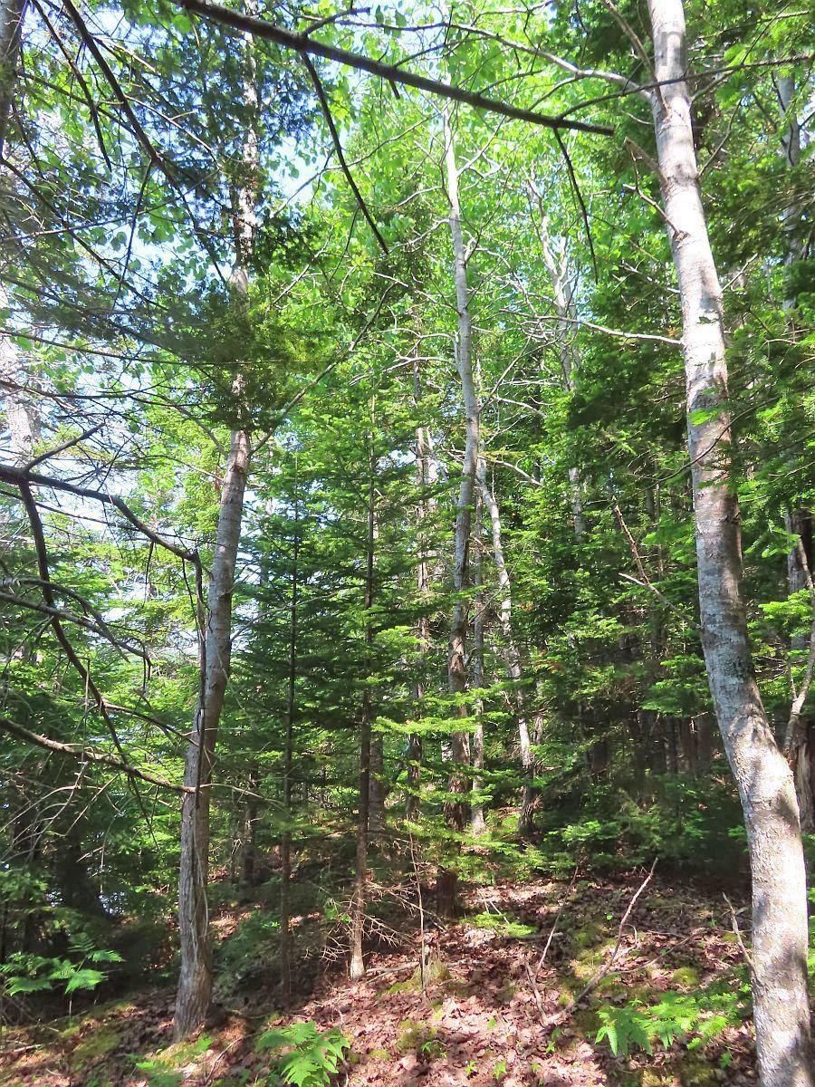 $75,000.00: Lot 12A Dorothy Robinson Drive, Evanston