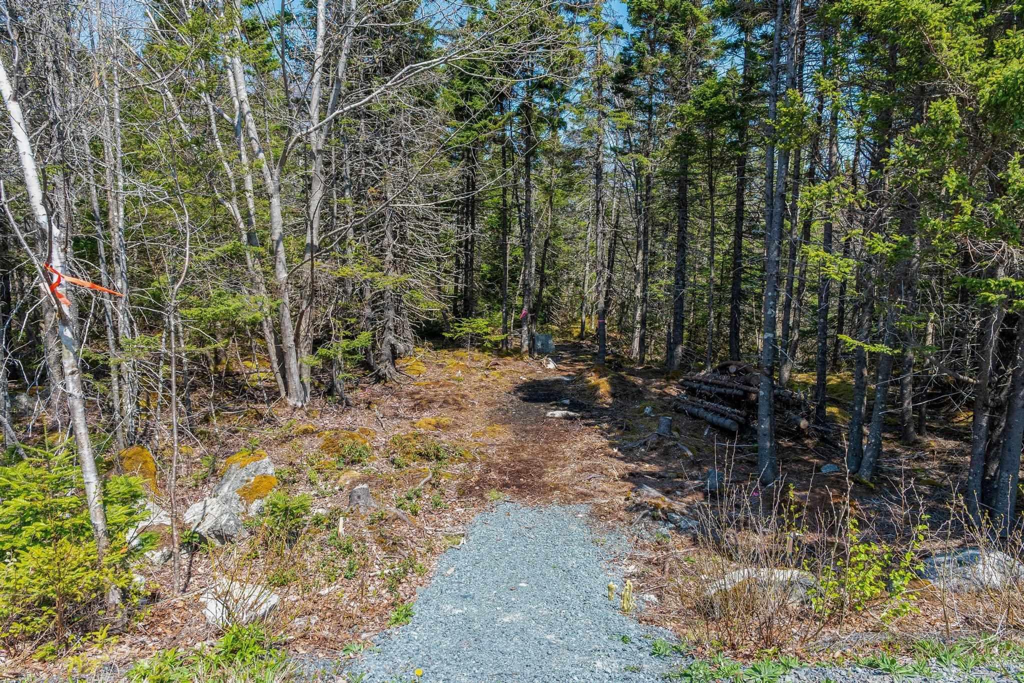 Scott's Point Road, East Dover, NS (MLS 202511202)