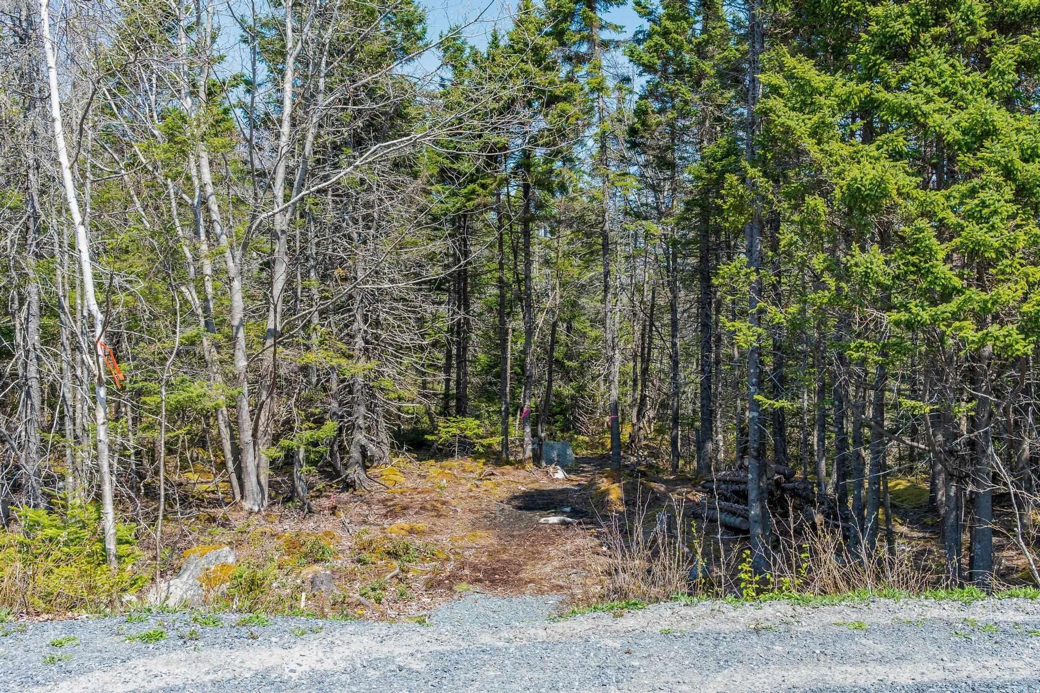 Scott's Point Road, East Dover, NS (MLS 202511202)