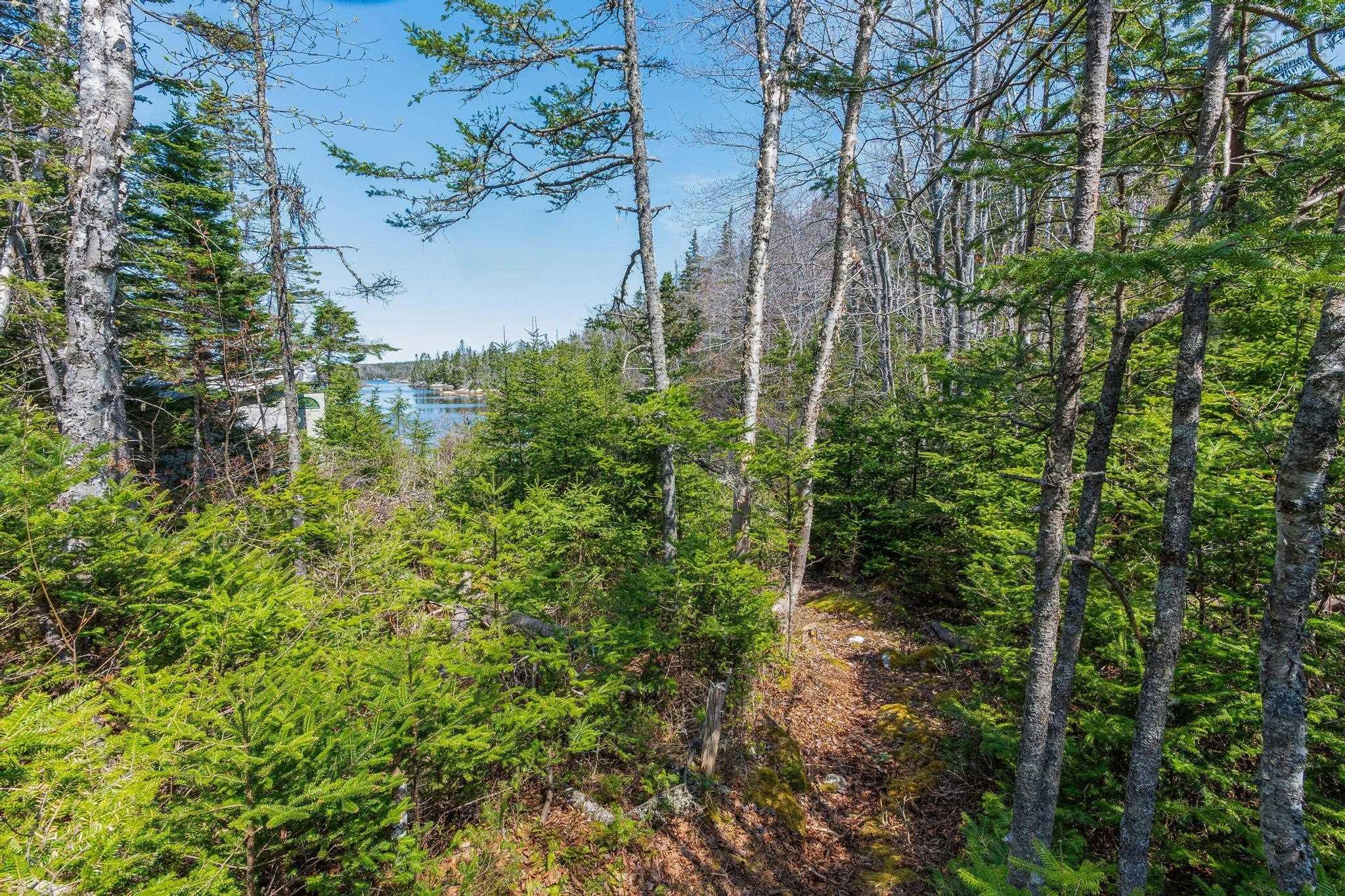 Scott's Point Road, East Dover, NS (MLS 202511202)