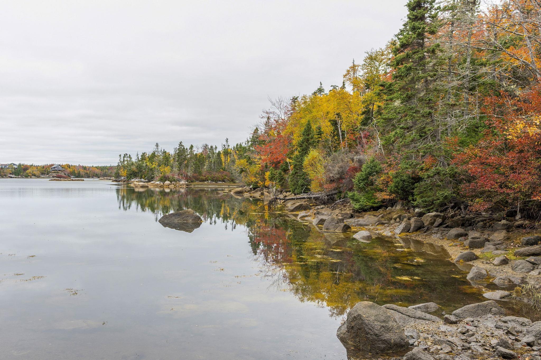 Scott's Point Road, East Dover, NS (MLS 202511202)