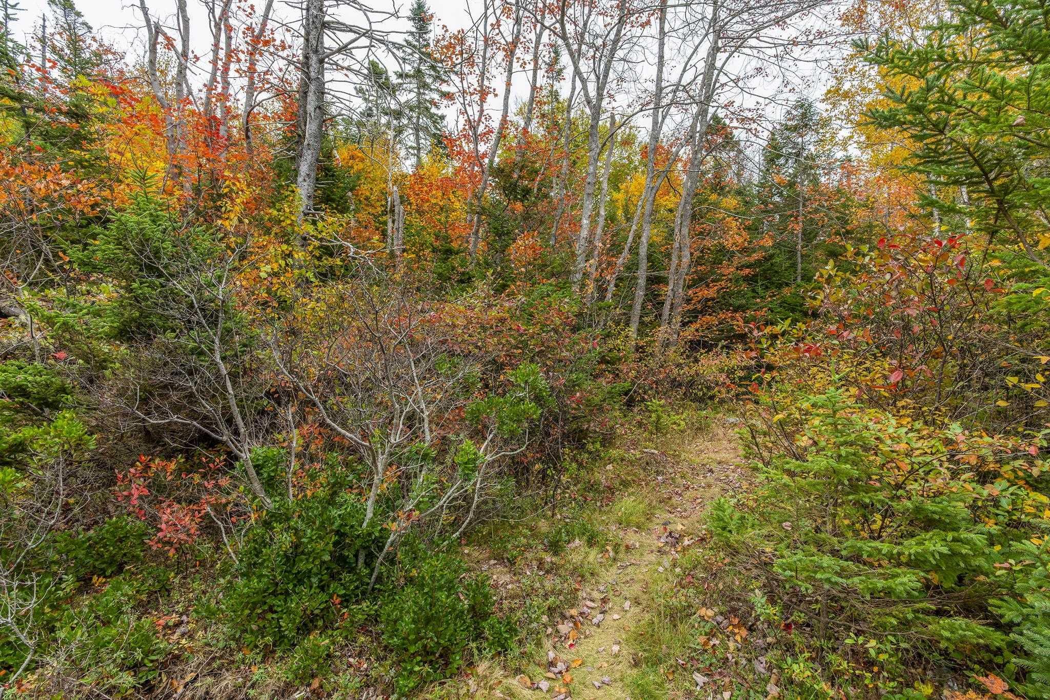 Scott's Point Road, East Dover, NS (MLS 202511202)