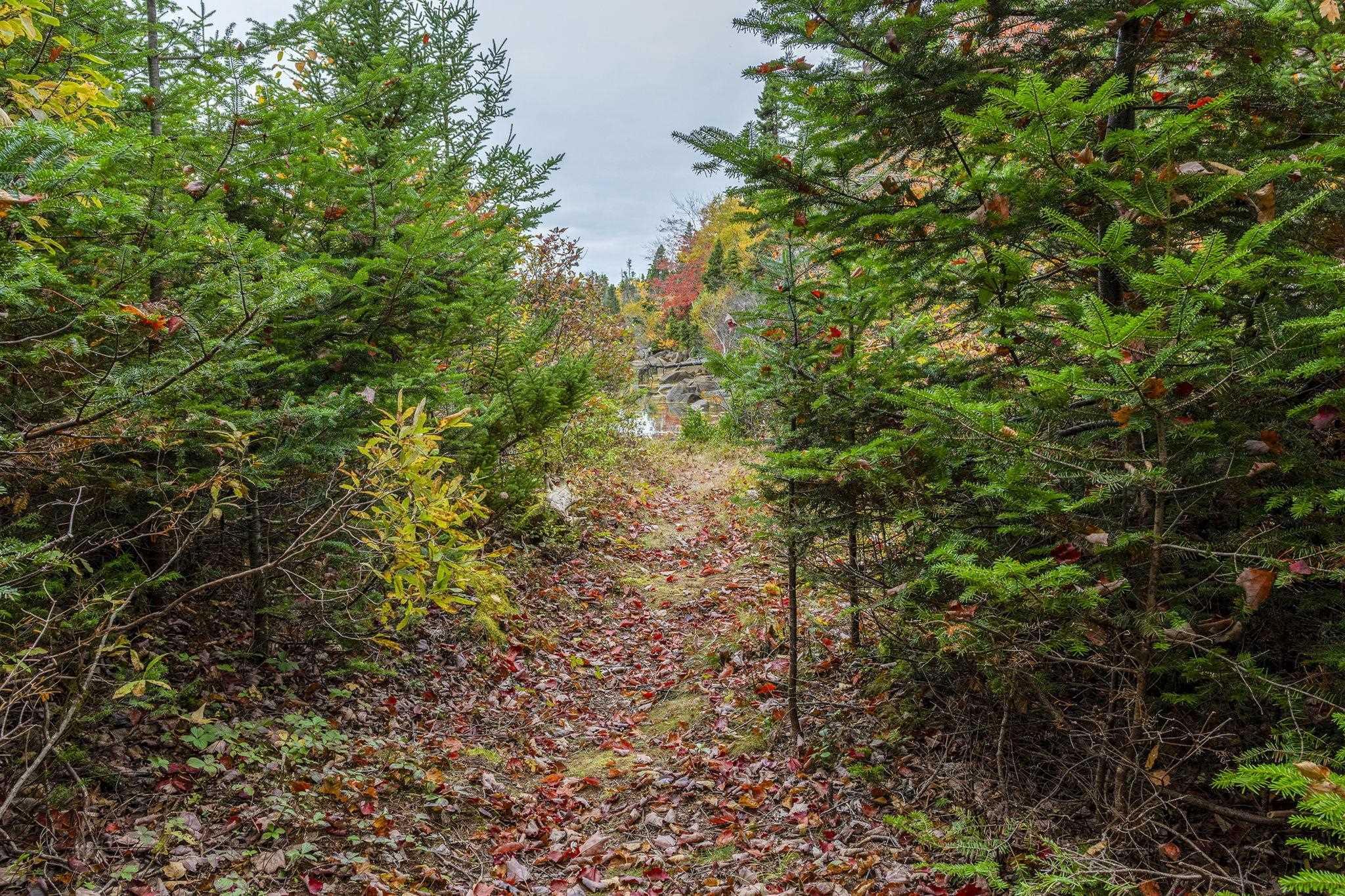 Scott's Point Road, East Dover, NS (MLS 202511202)
