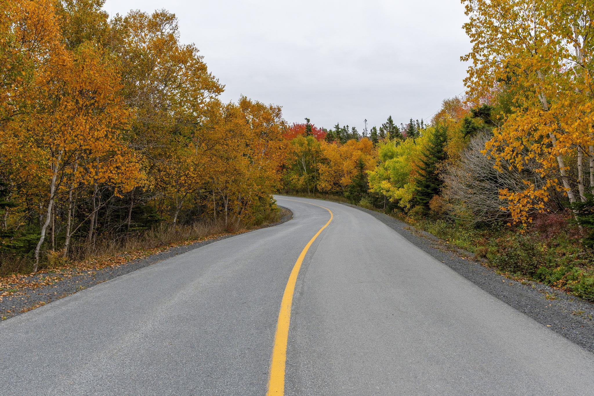 Scott's Point Road, East Dover, NS (MLS 202511202)