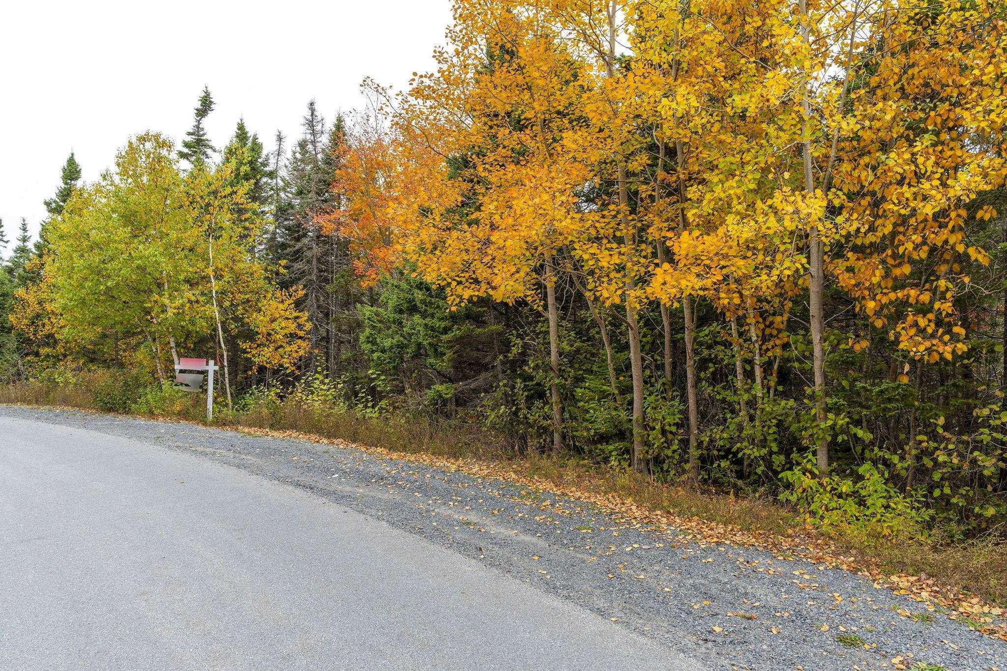 Scott's Point Road, East Dover, NS (MLS 202511202)