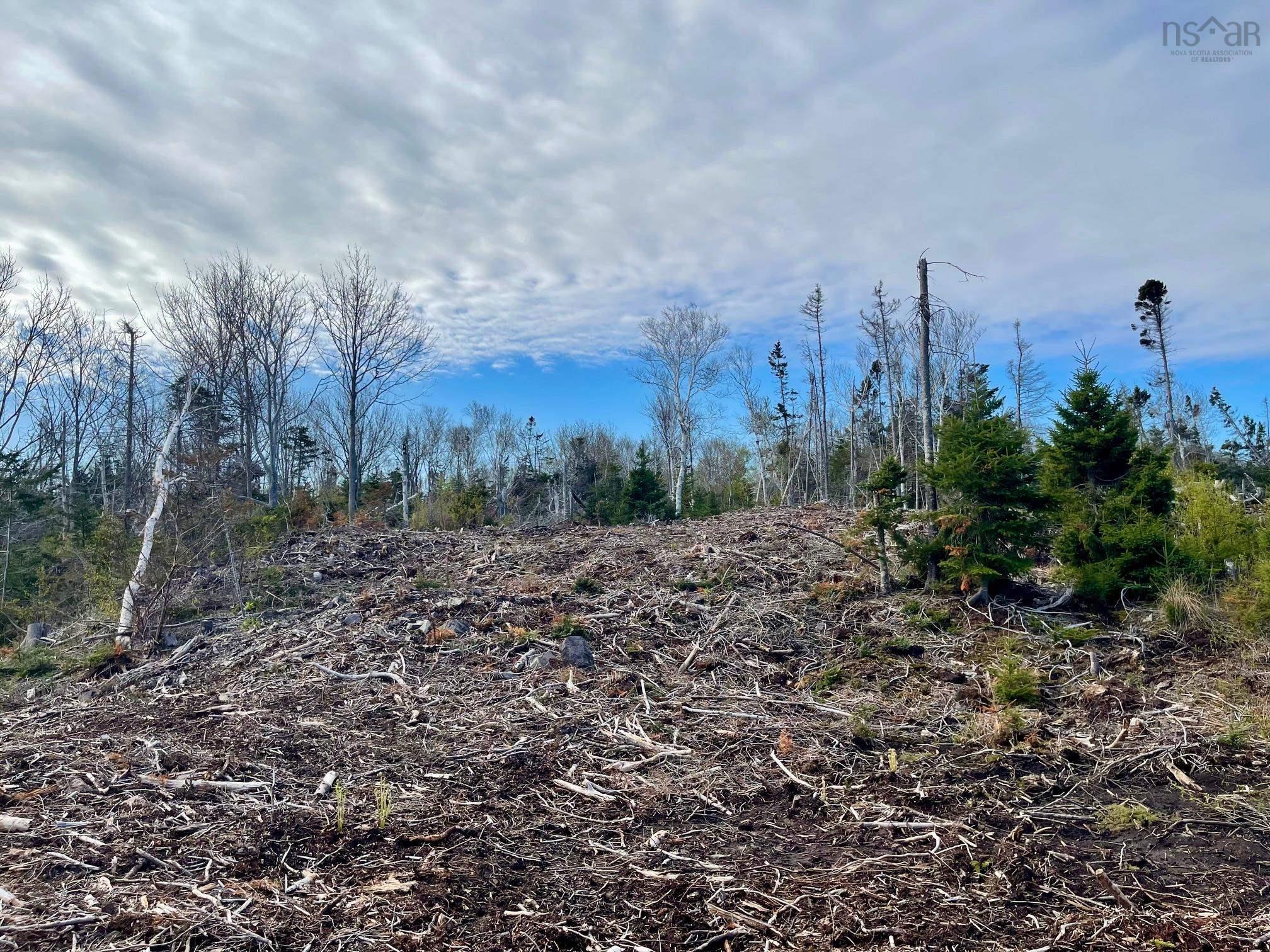 $169,000.00: Lot 17 245 Highway, Doctors Brook