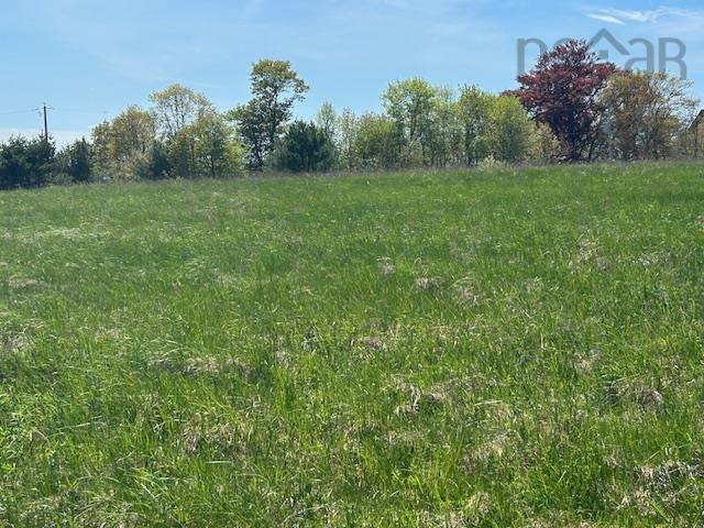 $80,000.00: Lot 7 Avondale Cross Road, Avondale