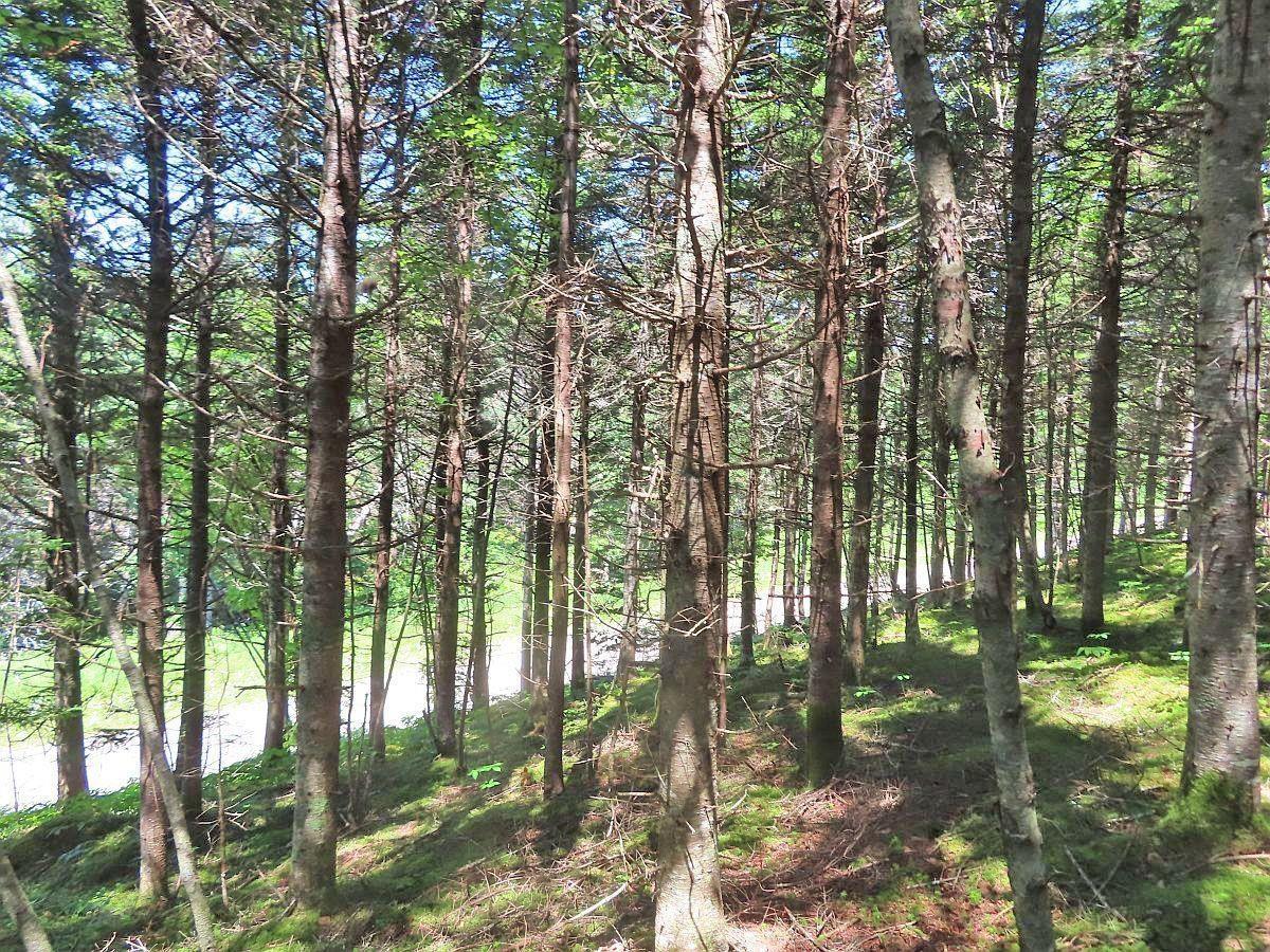 $120,000.00: Lot 3 Upper Grand Mira Road, Upper Grand Mira