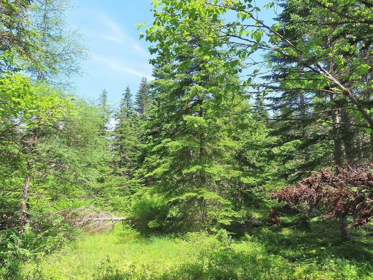 $120,000.00: Lot 3 Upper Grand Mira Road, Upper Grand Mira