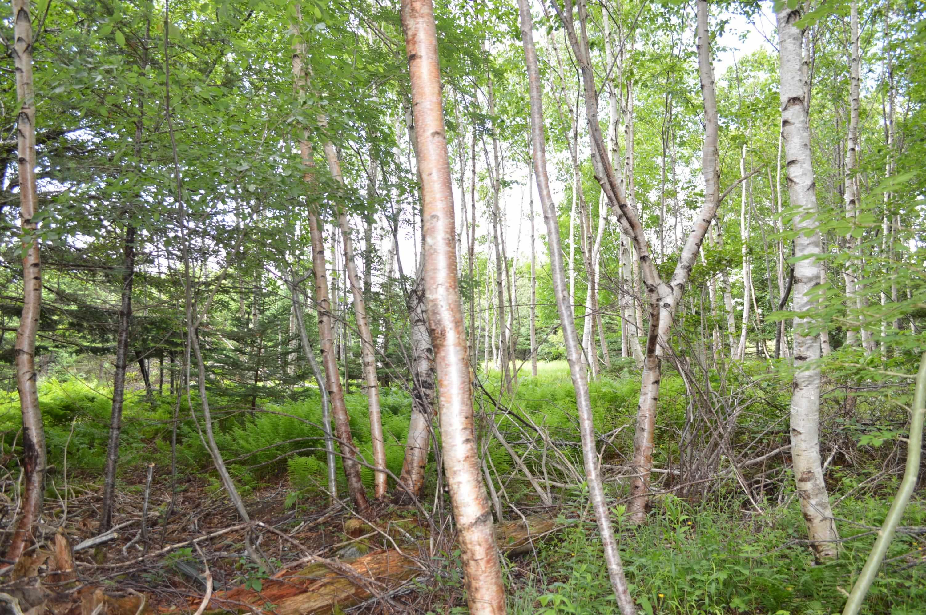 $299,900.00: Lot 2 Portion of 60169216 Blue Rocks Road, Garden Lots