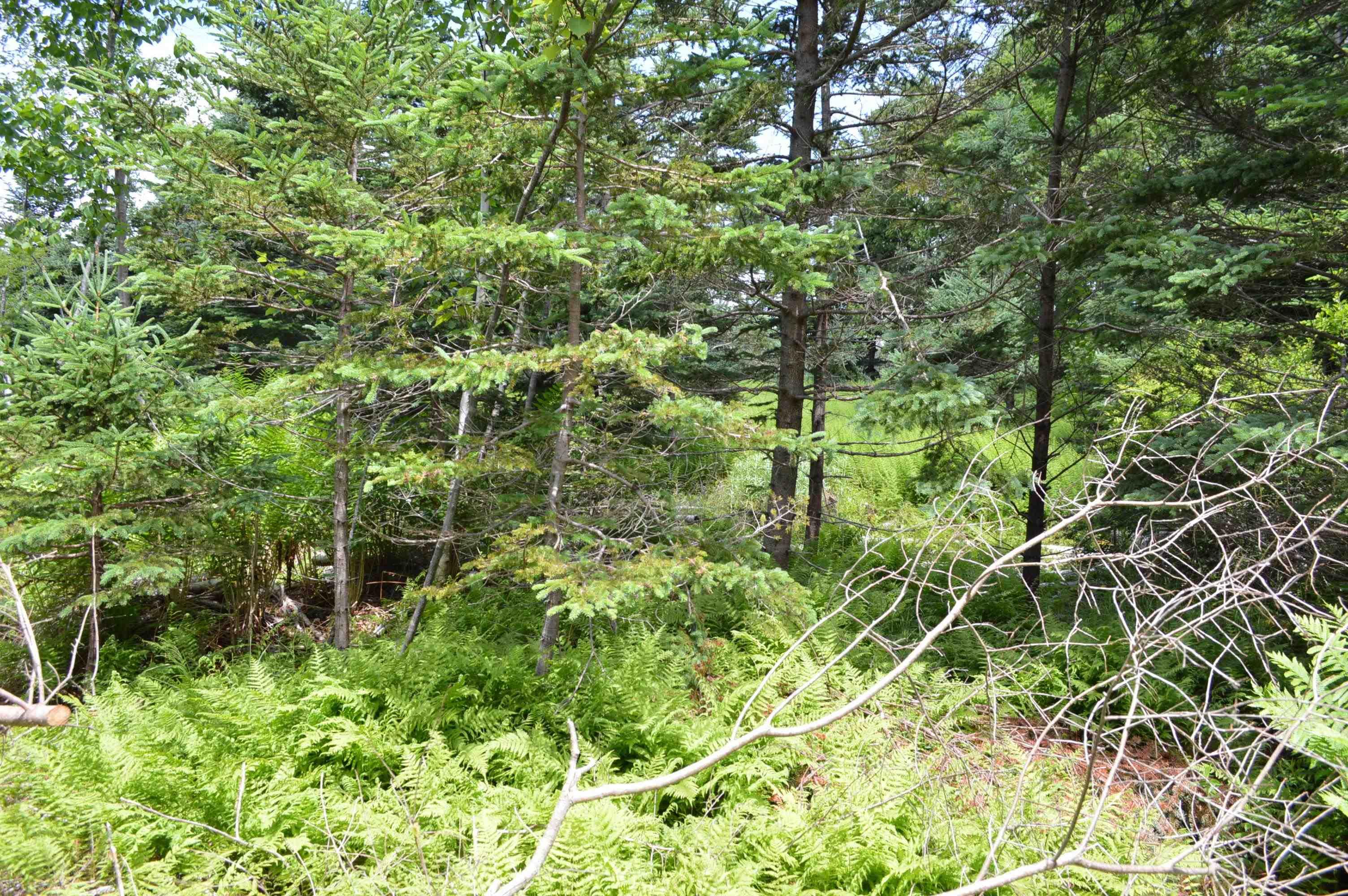 $299,900.00: Lot 2 Portion of 60169216 Blue Rocks Road, Garden Lots