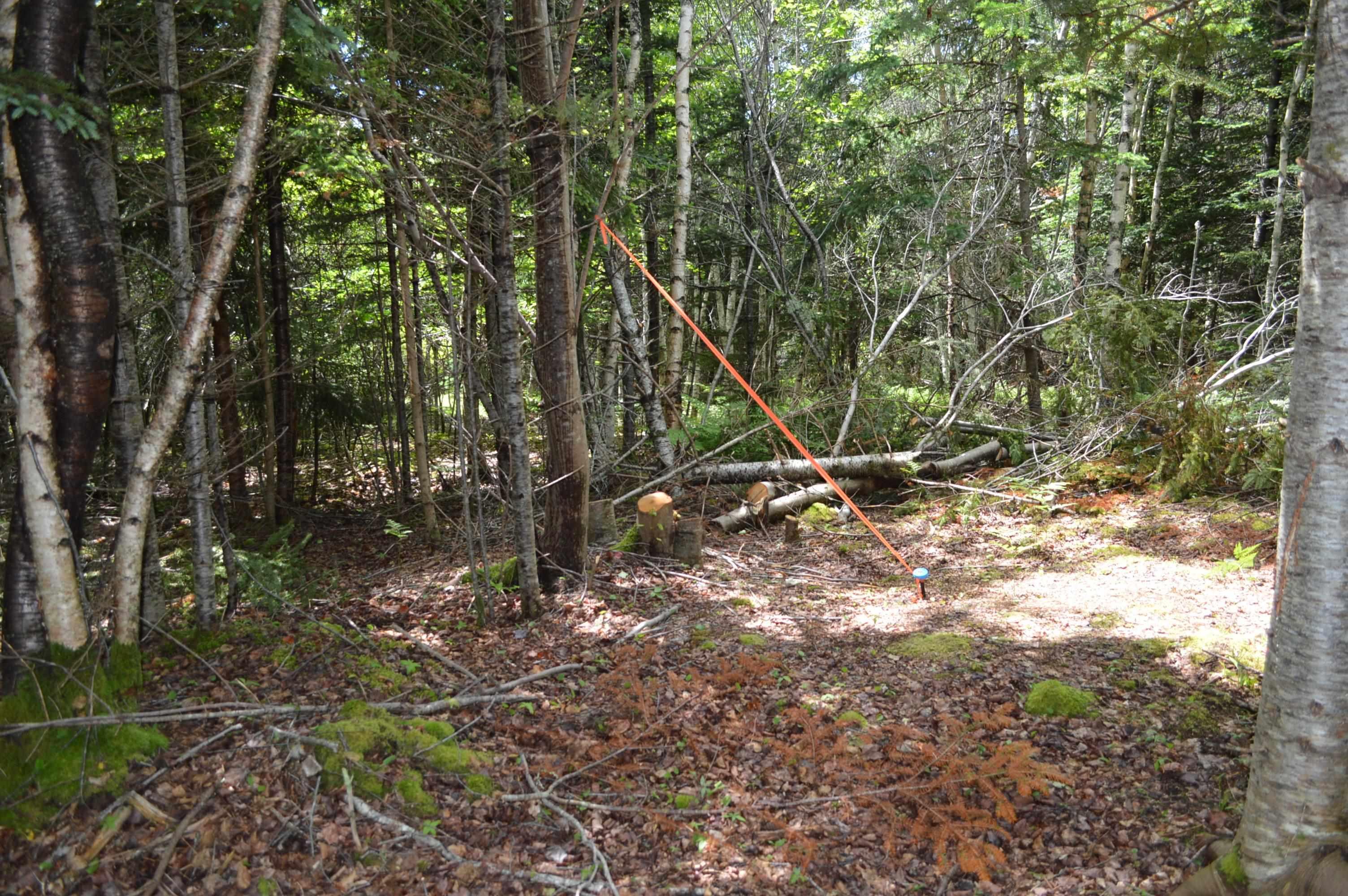 $299,900.00: Lot 2 Portion of 60169216 Blue Rocks Road, Garden Lots