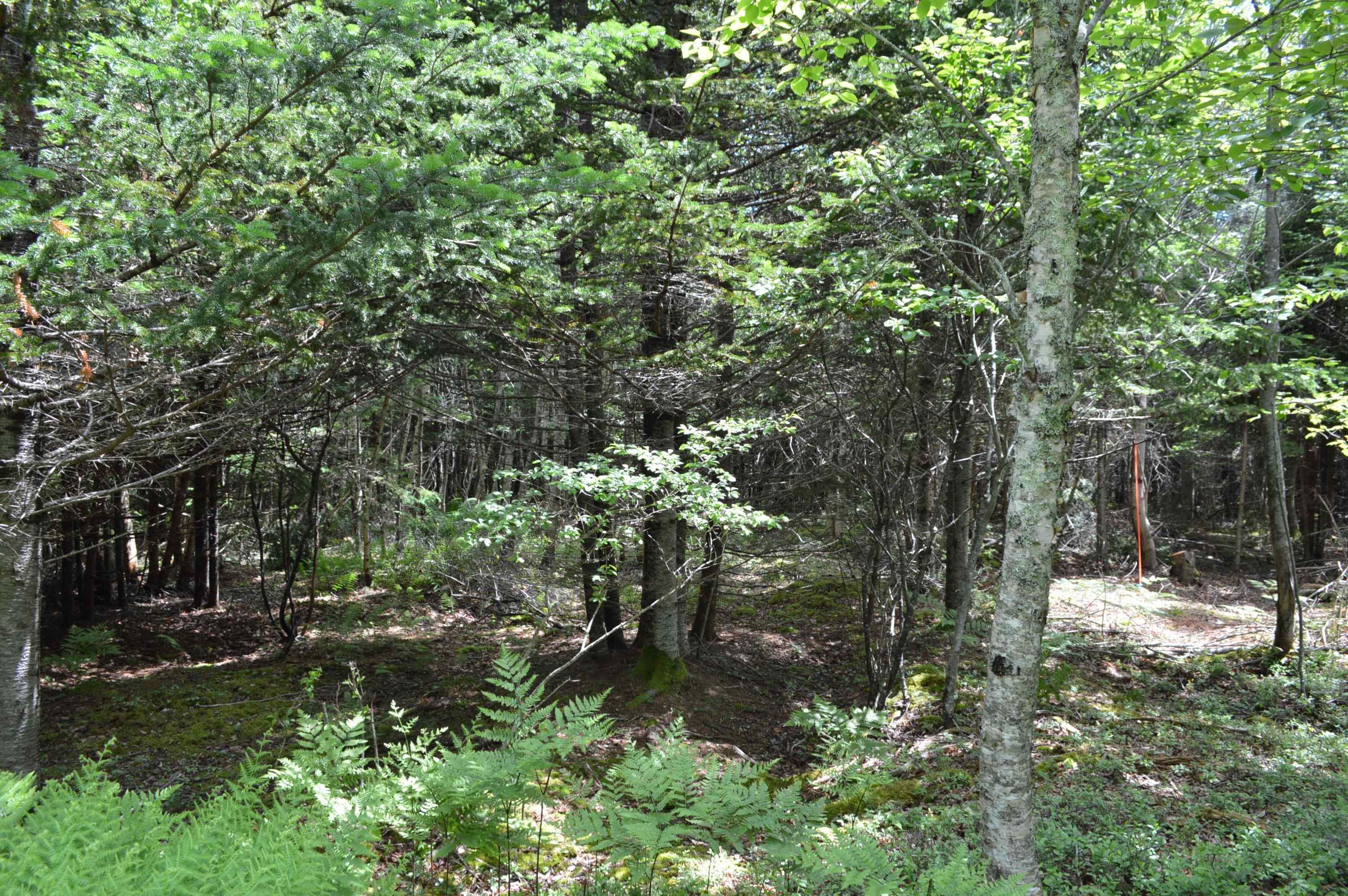 $299,900.00: Lot 2 Portion of 60169216 Blue Rocks Road, Garden Lots