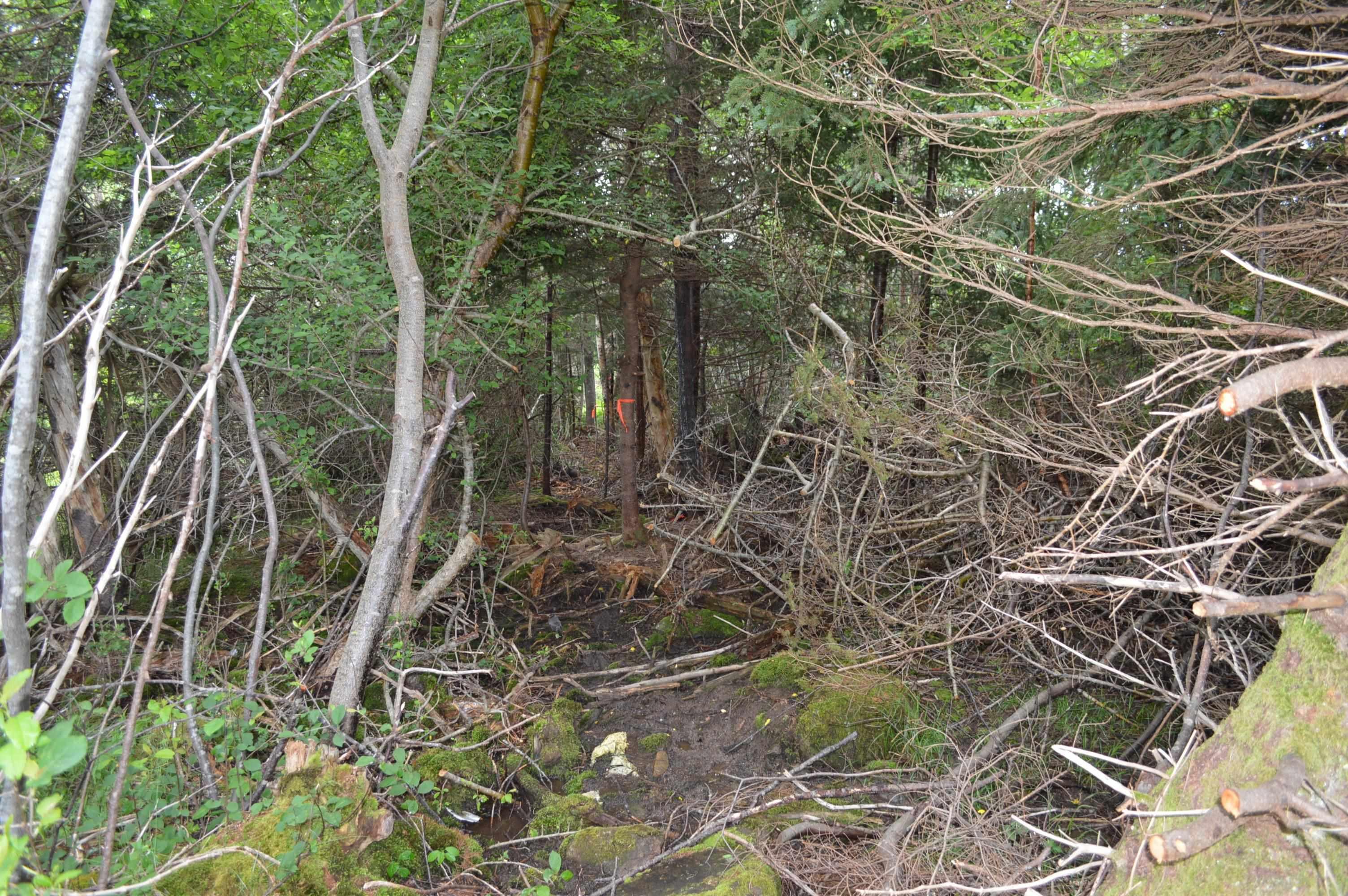 $149,900.00: Lot Portion of 60169216 Blue Rocks Road, Garden Lots