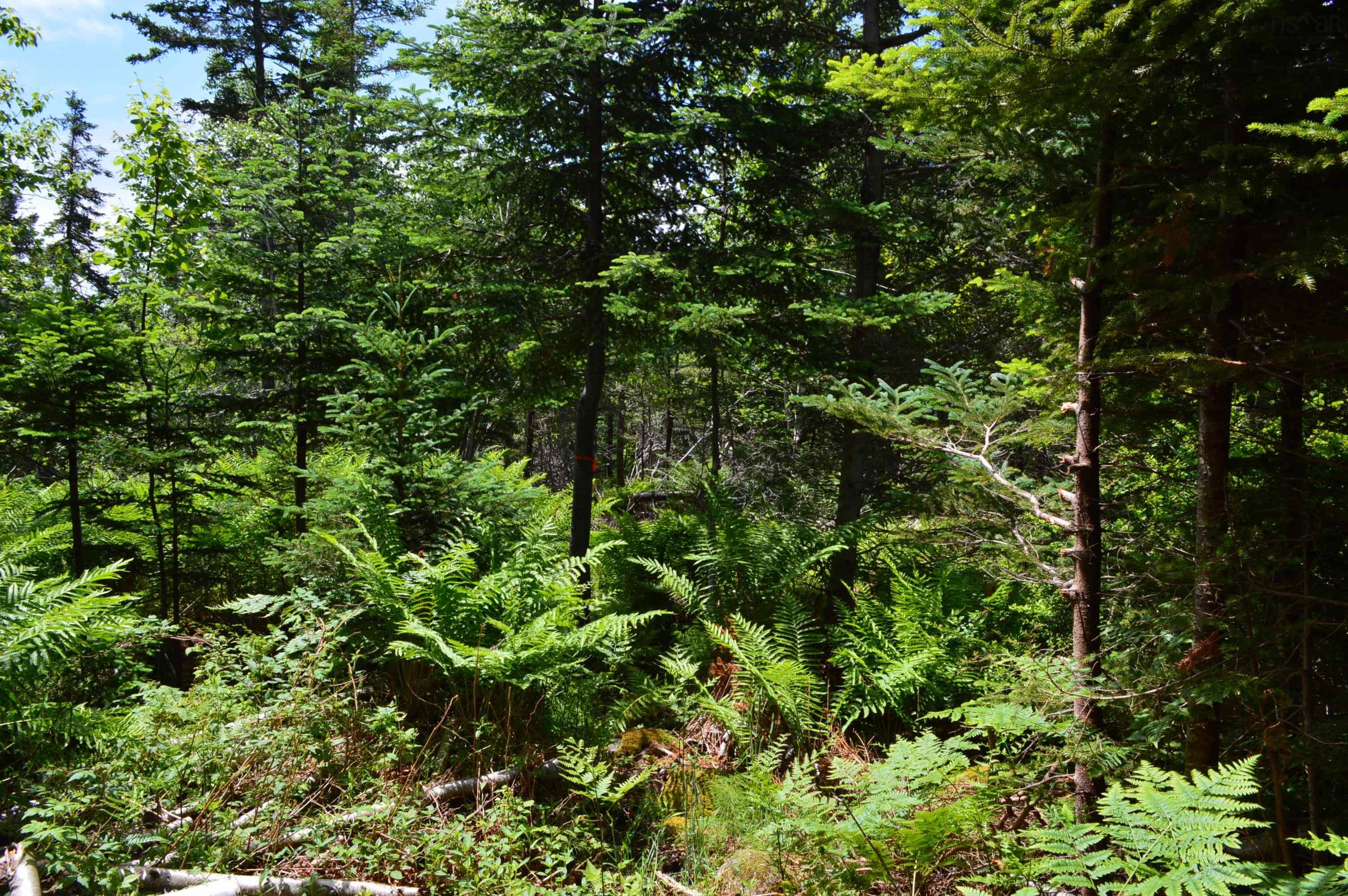 $149,900.00: Lot Portion of 60169216 Blue Rocks Road, Garden Lots