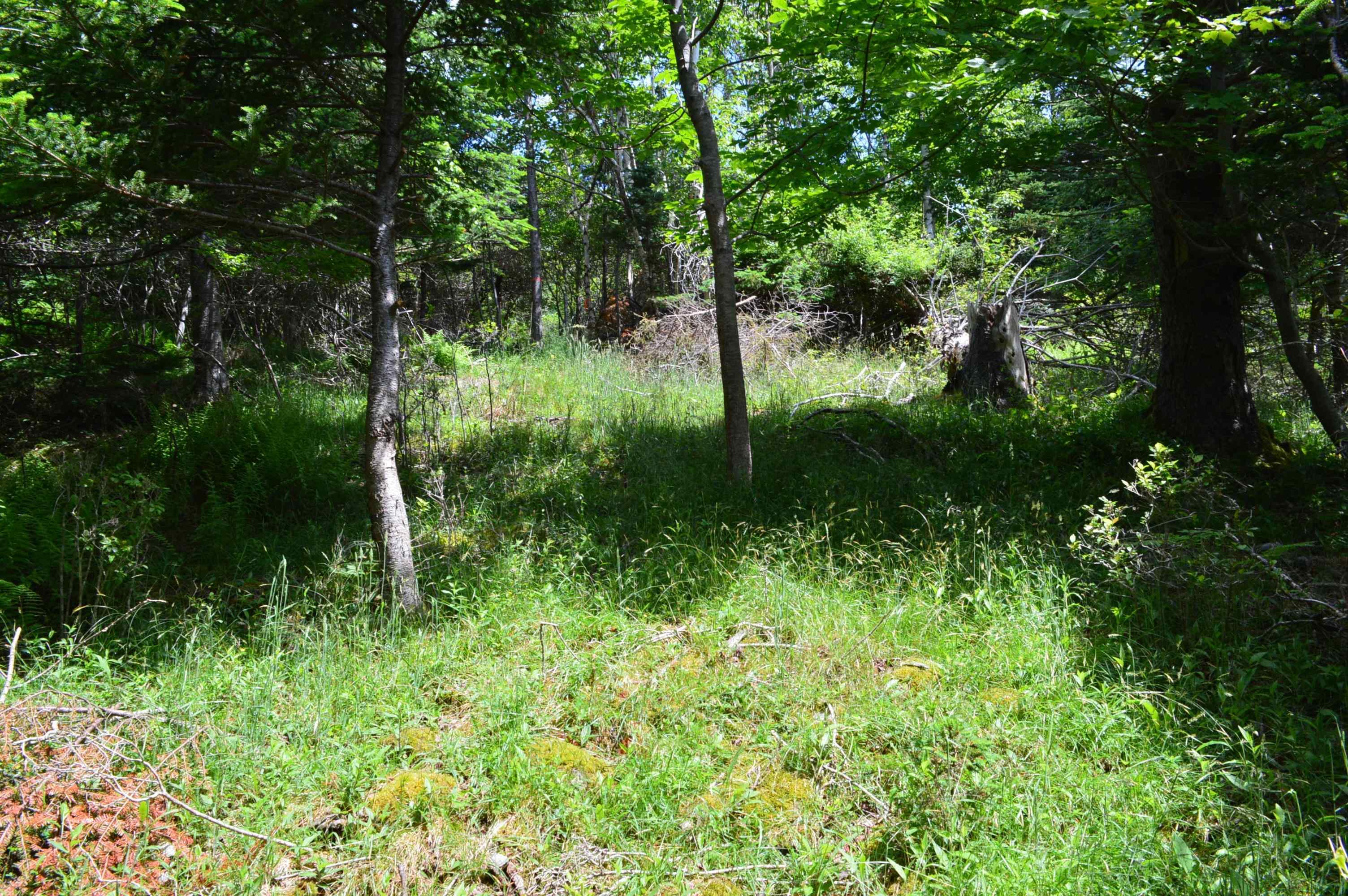 $149,900.00: Lot Portion of 60169216 Blue Rocks Road, Garden Lots