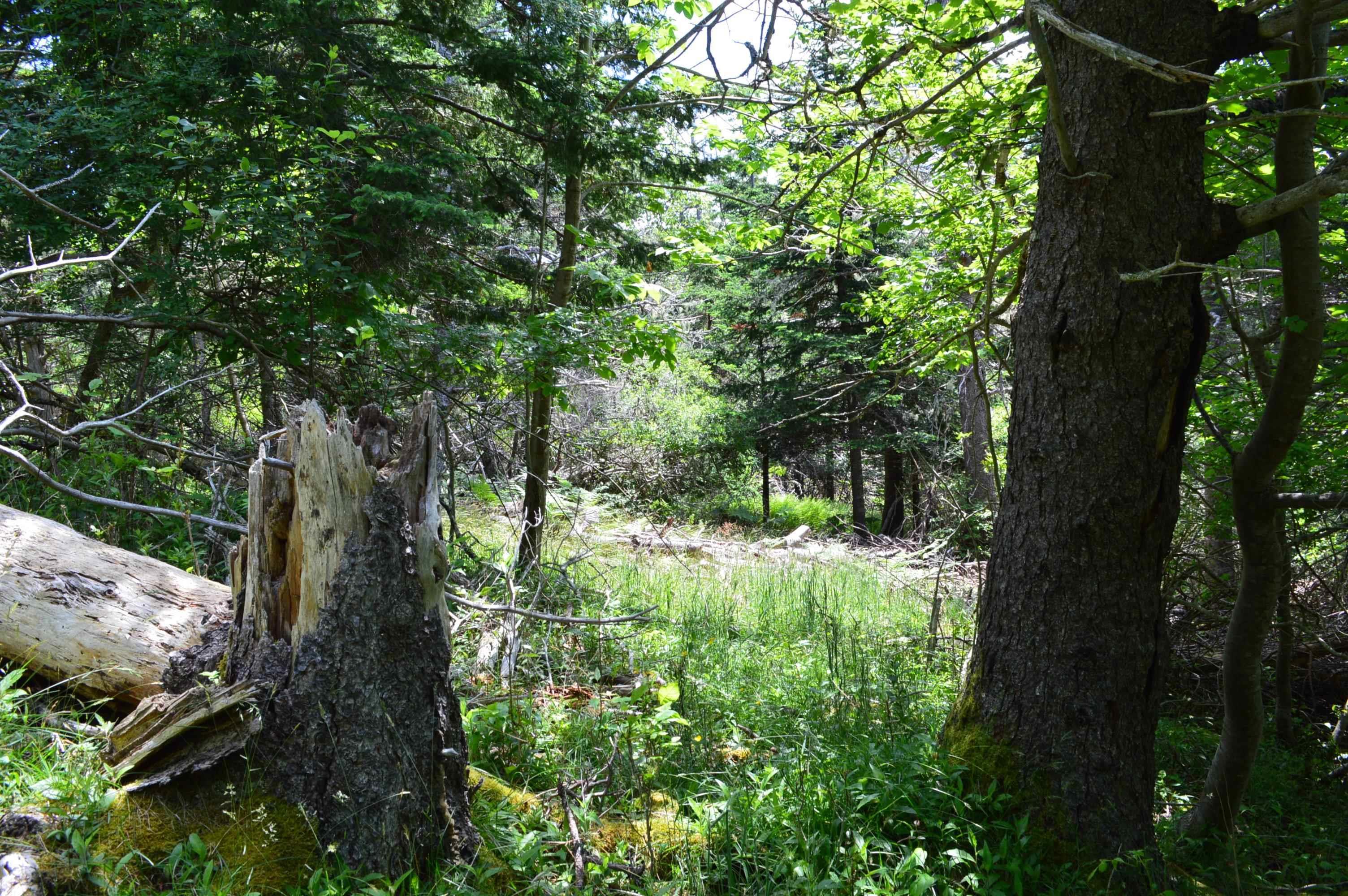 $149,900.00: Lot Portion of 60169216 Blue Rocks Road, Garden Lots