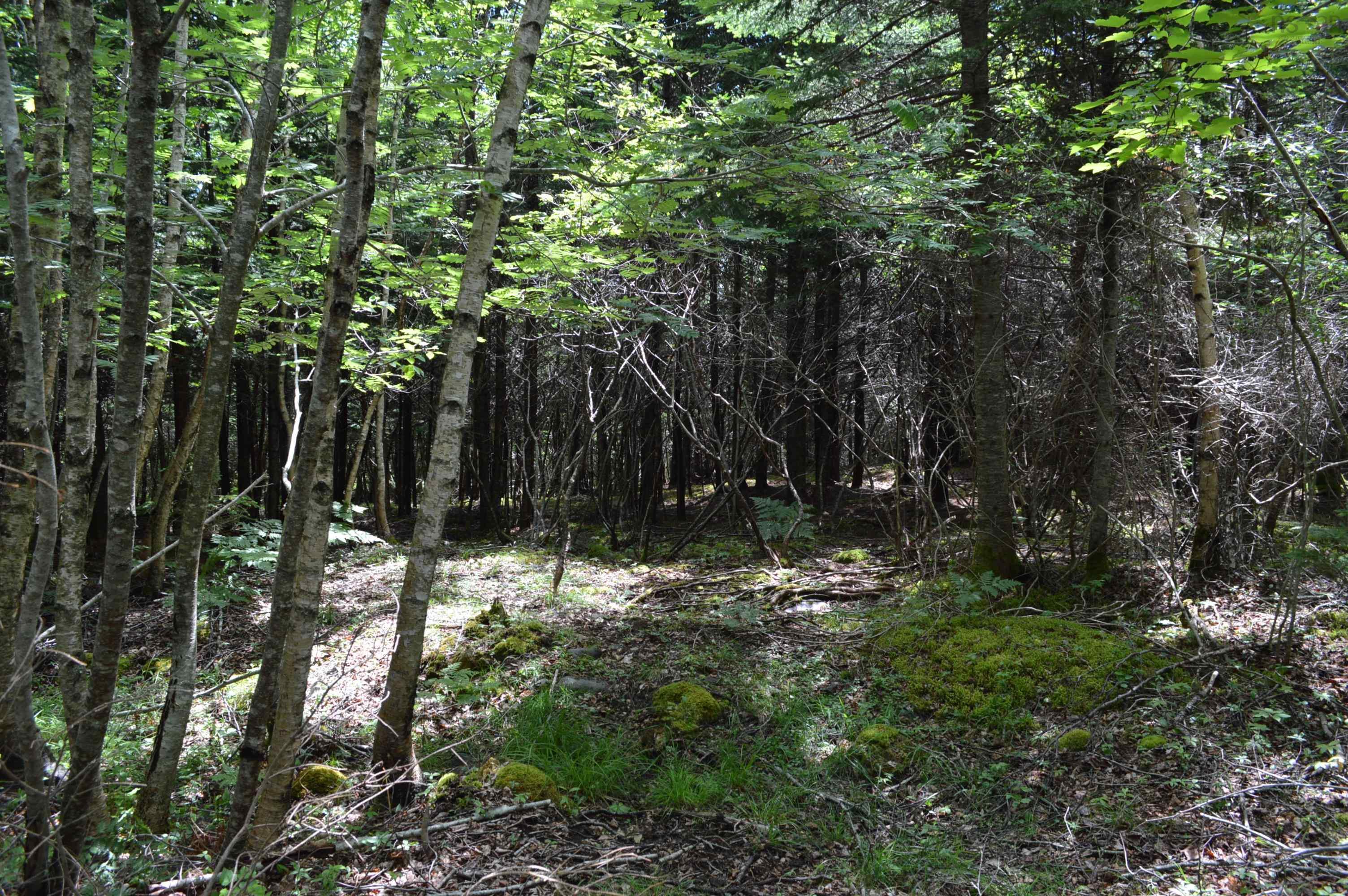 $149,900.00: Lot Portion of 60169216 Blue Rocks Road, Garden Lots