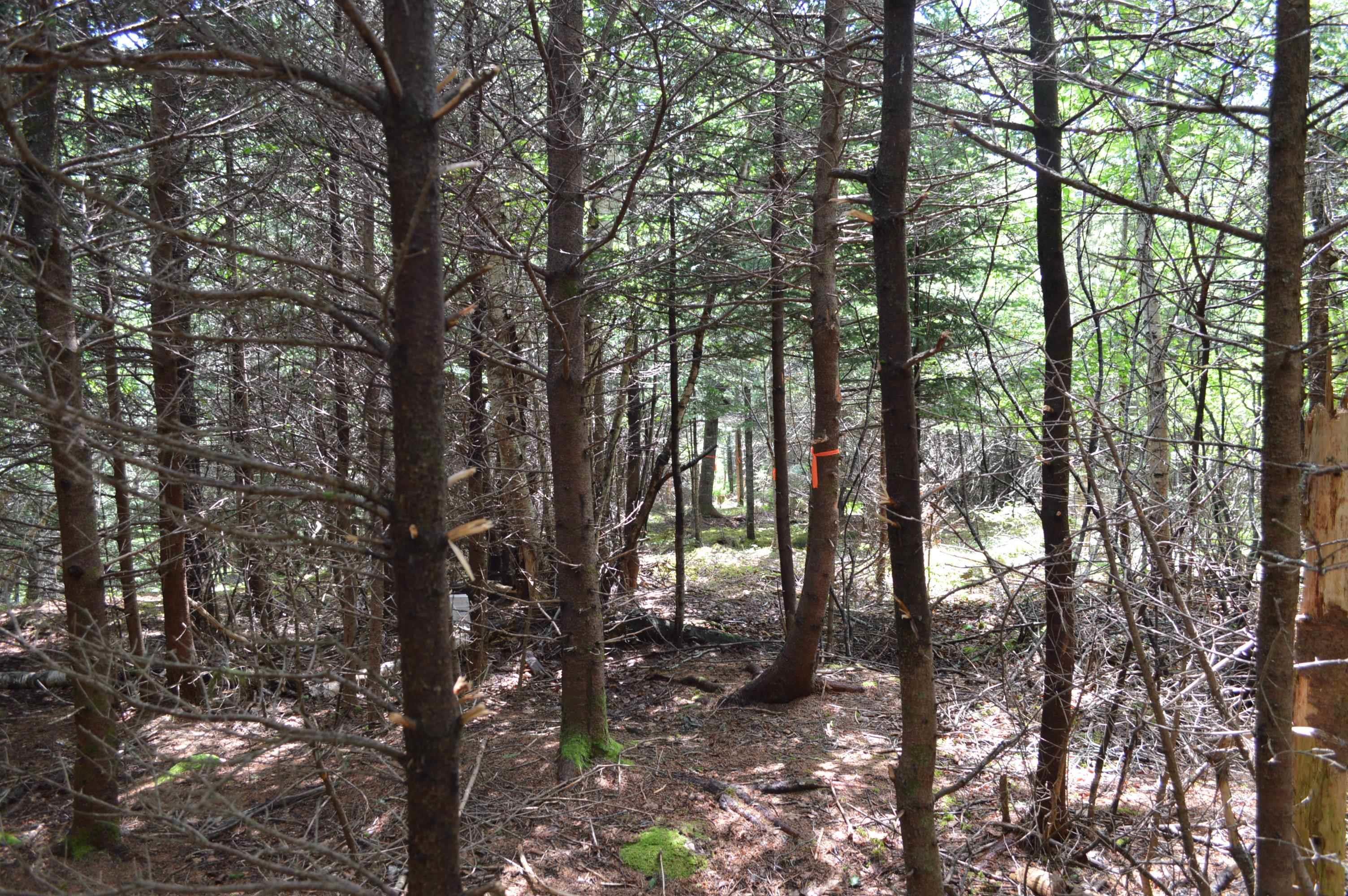 $149,900.00: Lot Portion of 60169216 Blue Rocks Road, Garden Lots