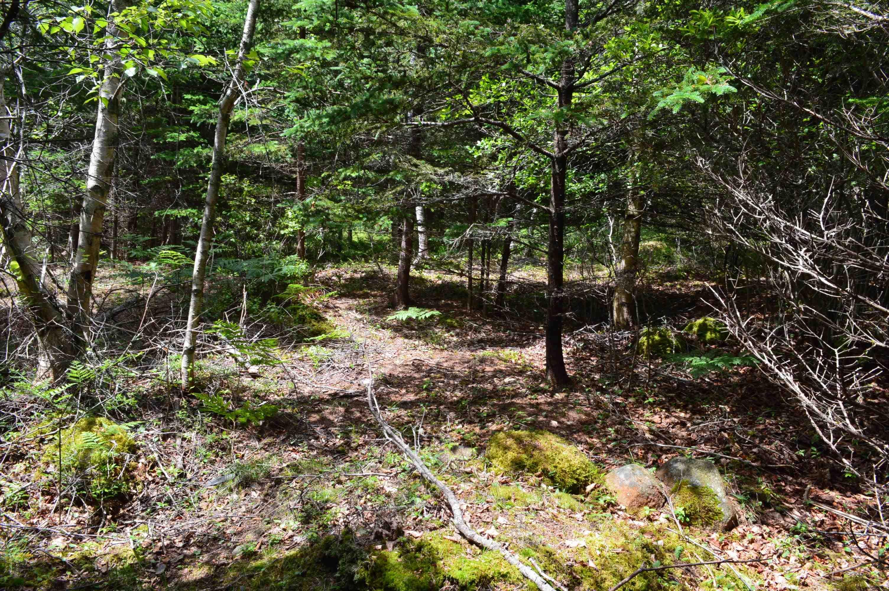 $149,900.00: Lot Portion of 60169216 Blue Rocks Road, Garden Lots