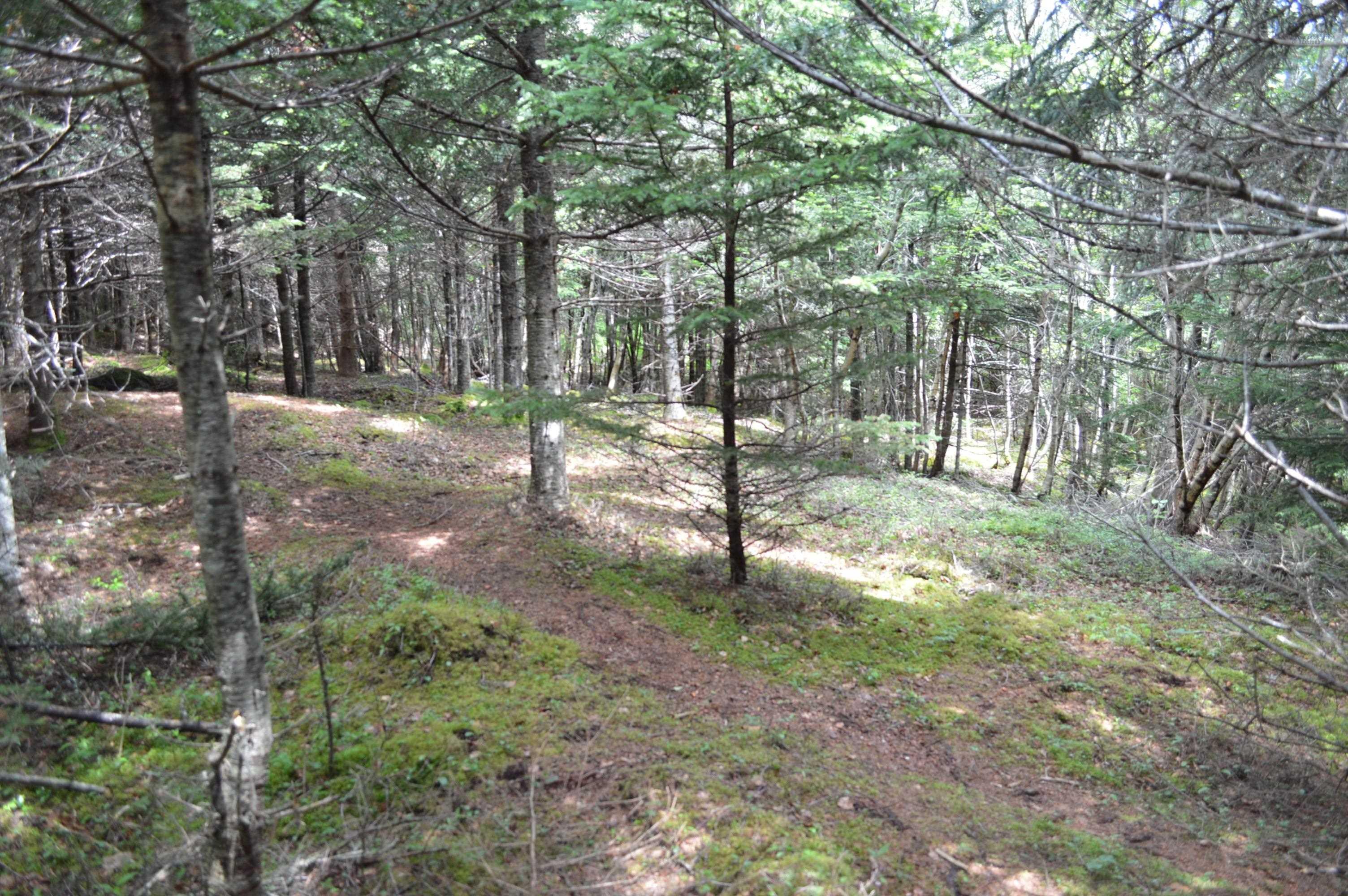 $149,900.00: Lot Portion of 60169216 Blue Rocks Road, Garden Lots