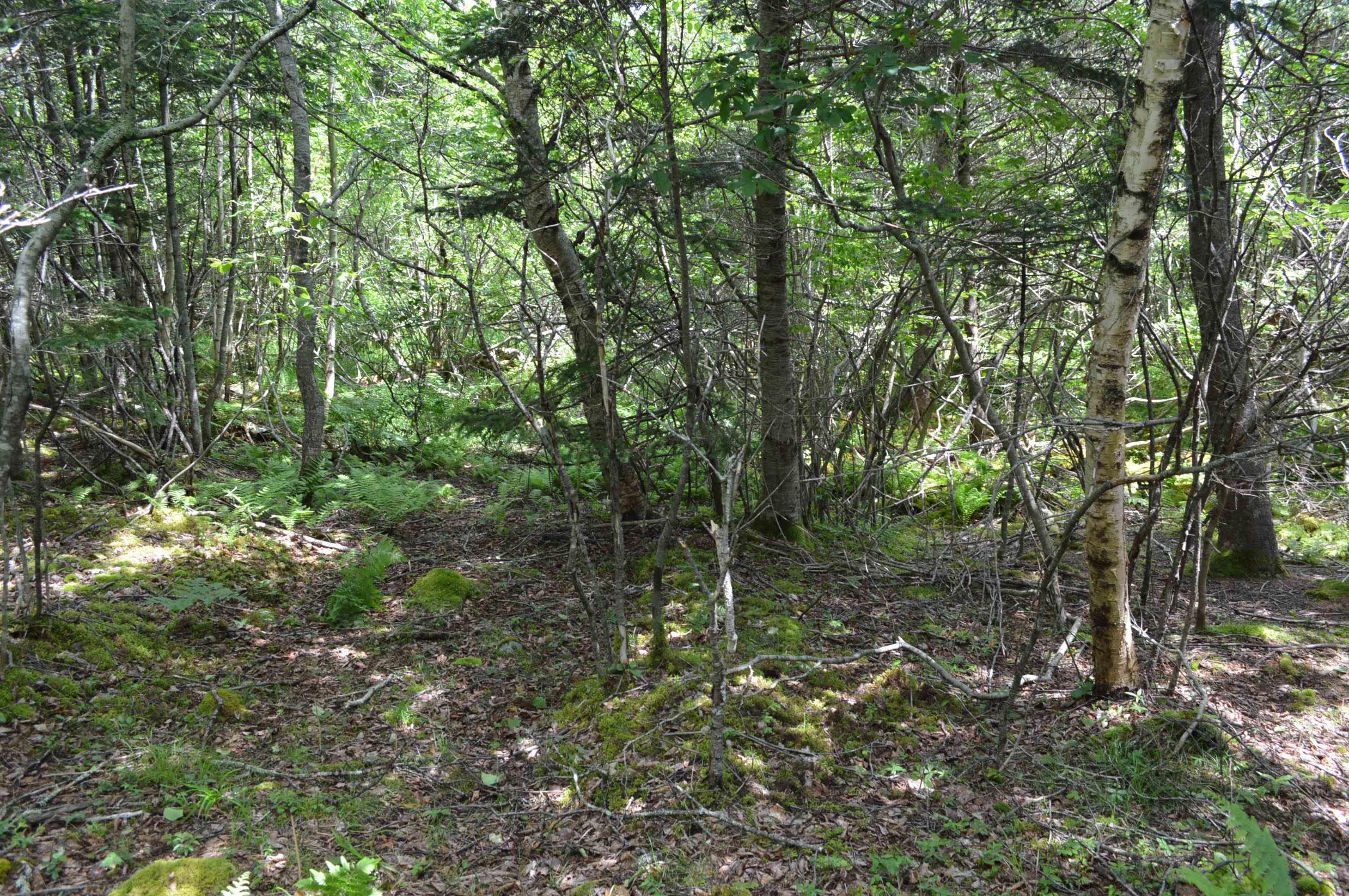 $149,900.00: Lot Portion of 60169216 Blue Rocks Road, Garden Lots