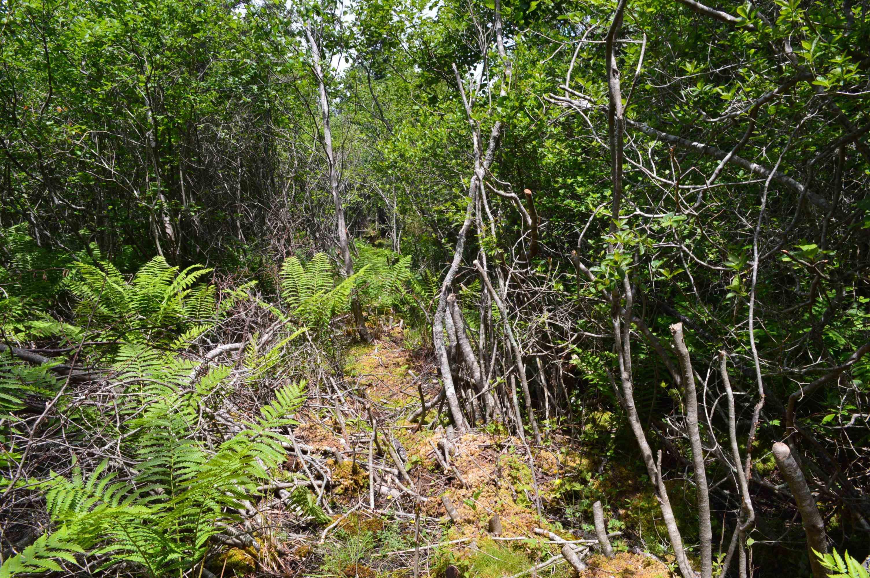 $149,900.00: Lot Portion of 60169216 Blue Rocks Road, Garden Lots