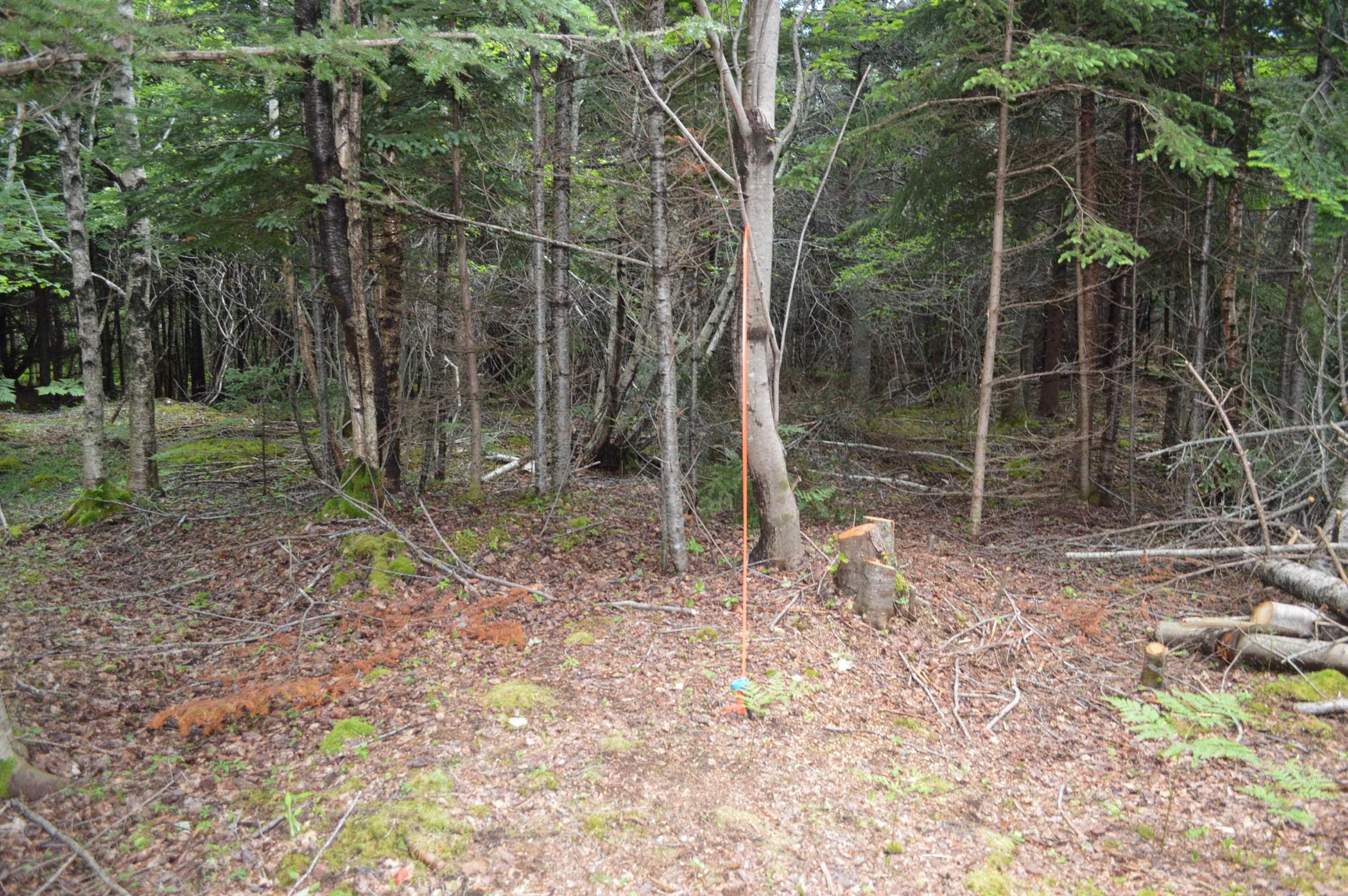 $149,900.00: Lot Portion of 60169216 Blue Rocks Road, Garden Lots