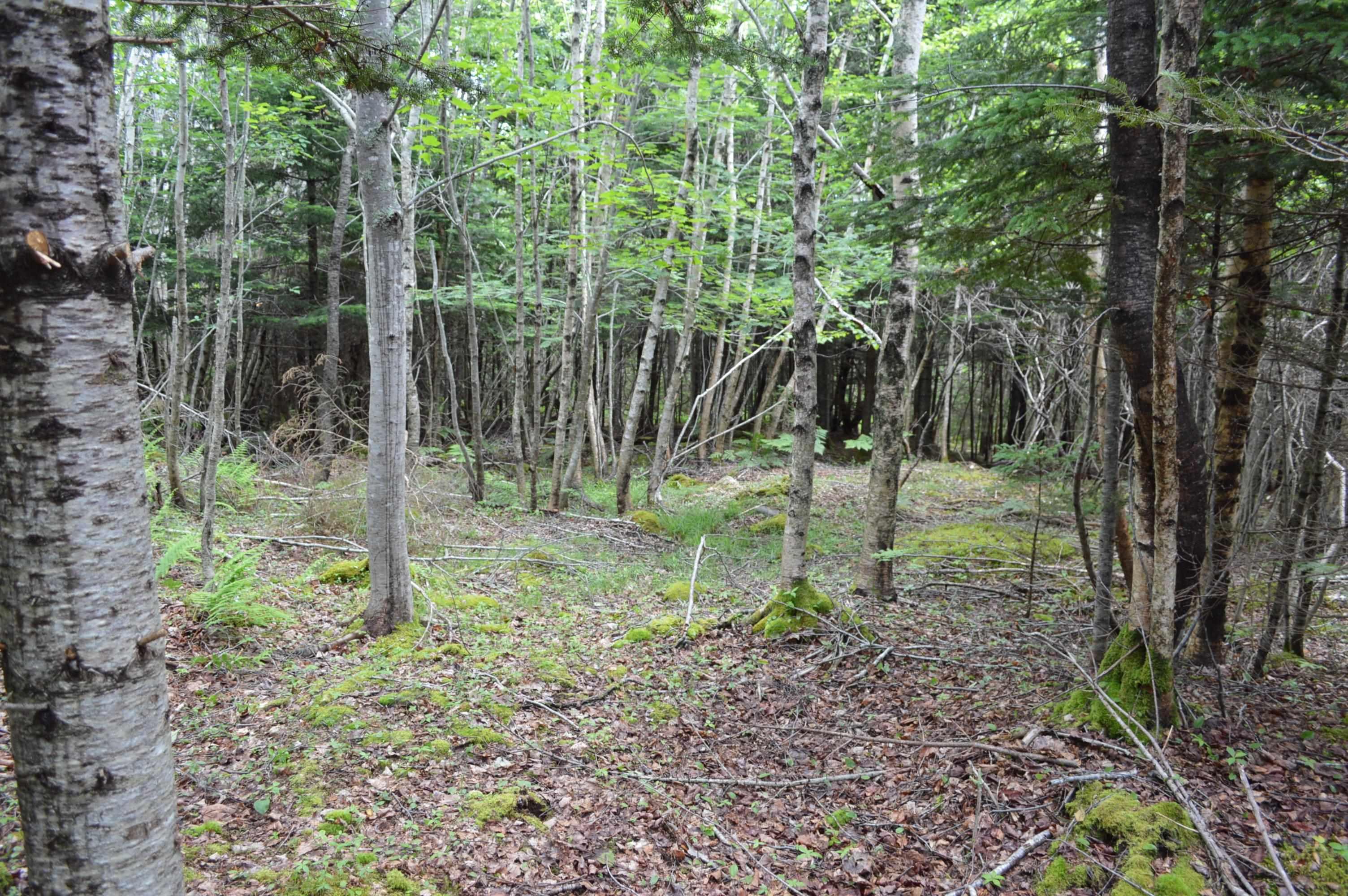 $149,900.00: Lot Portion of 60169216 Blue Rocks Road, Garden Lots