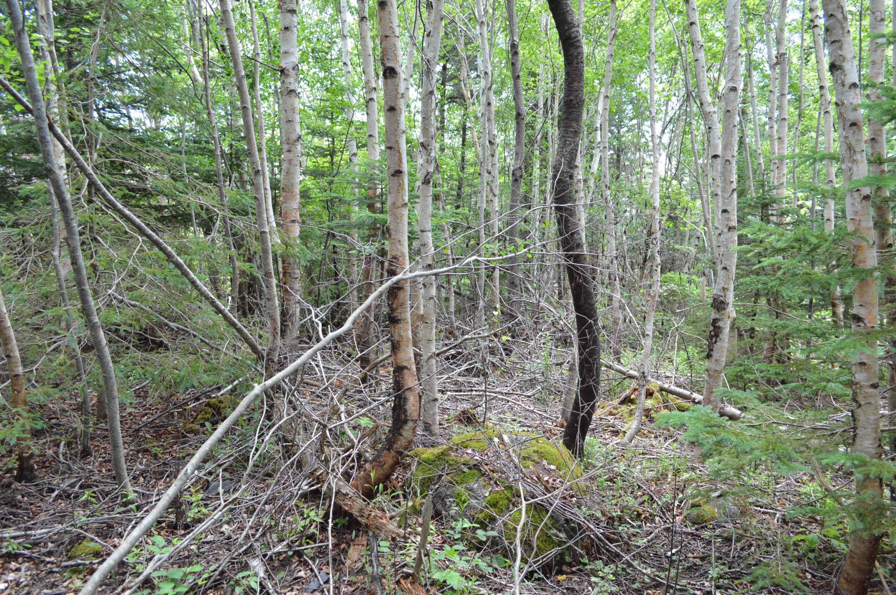 $149,900.00: Lot Portion of 60169216 Blue Rocks Road, Garden Lots