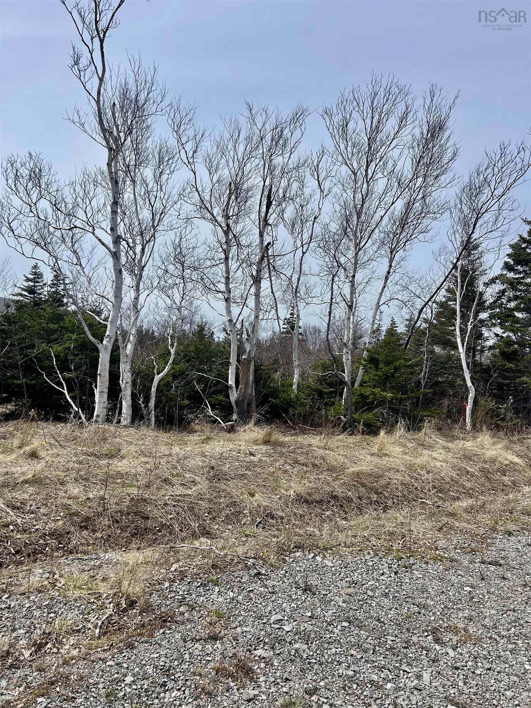 $105,000.00: Lot 4 Broad Cove Banks Road, Inverness