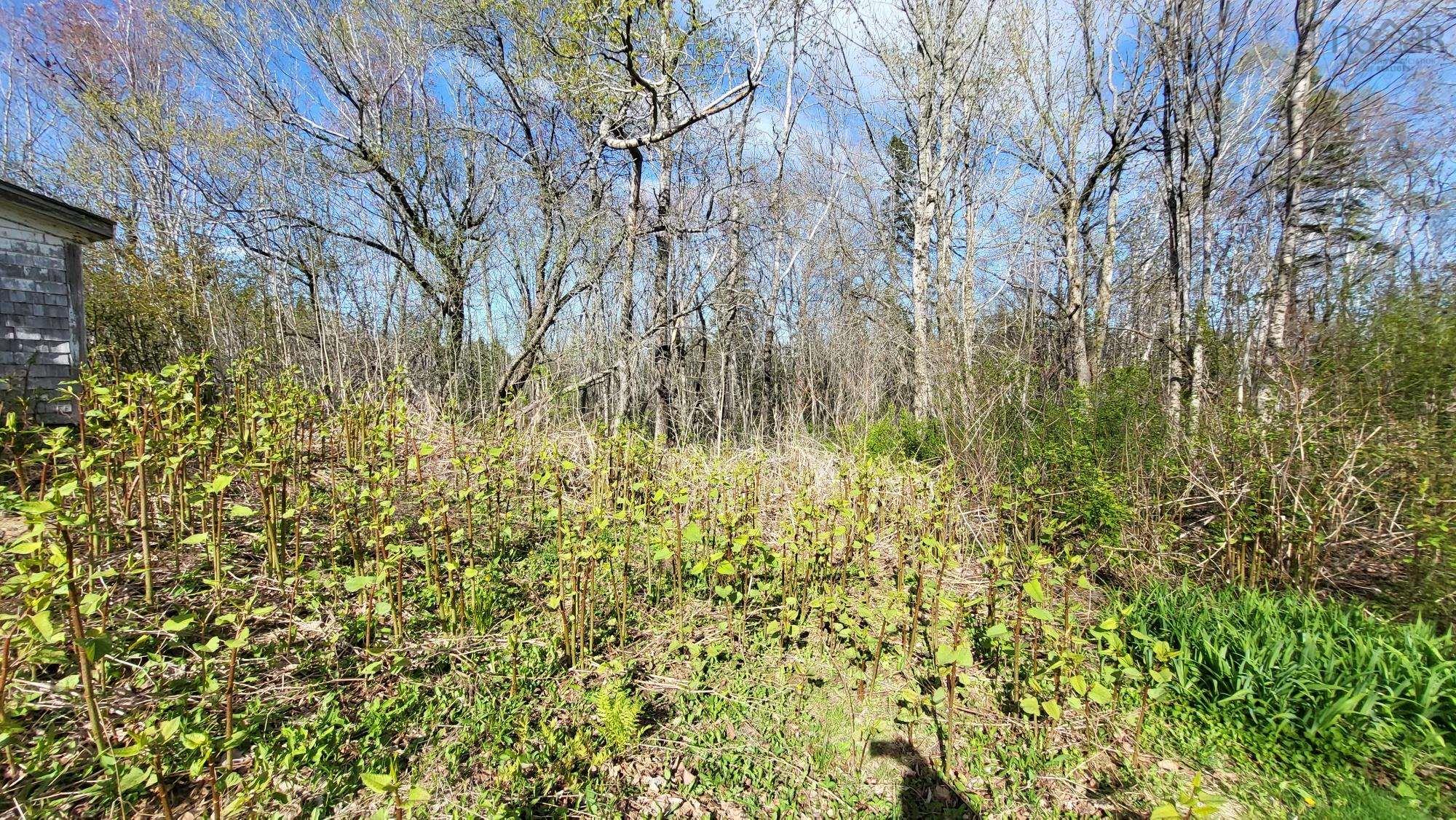 $79,900.00: 3858 Highway 12, South Alton