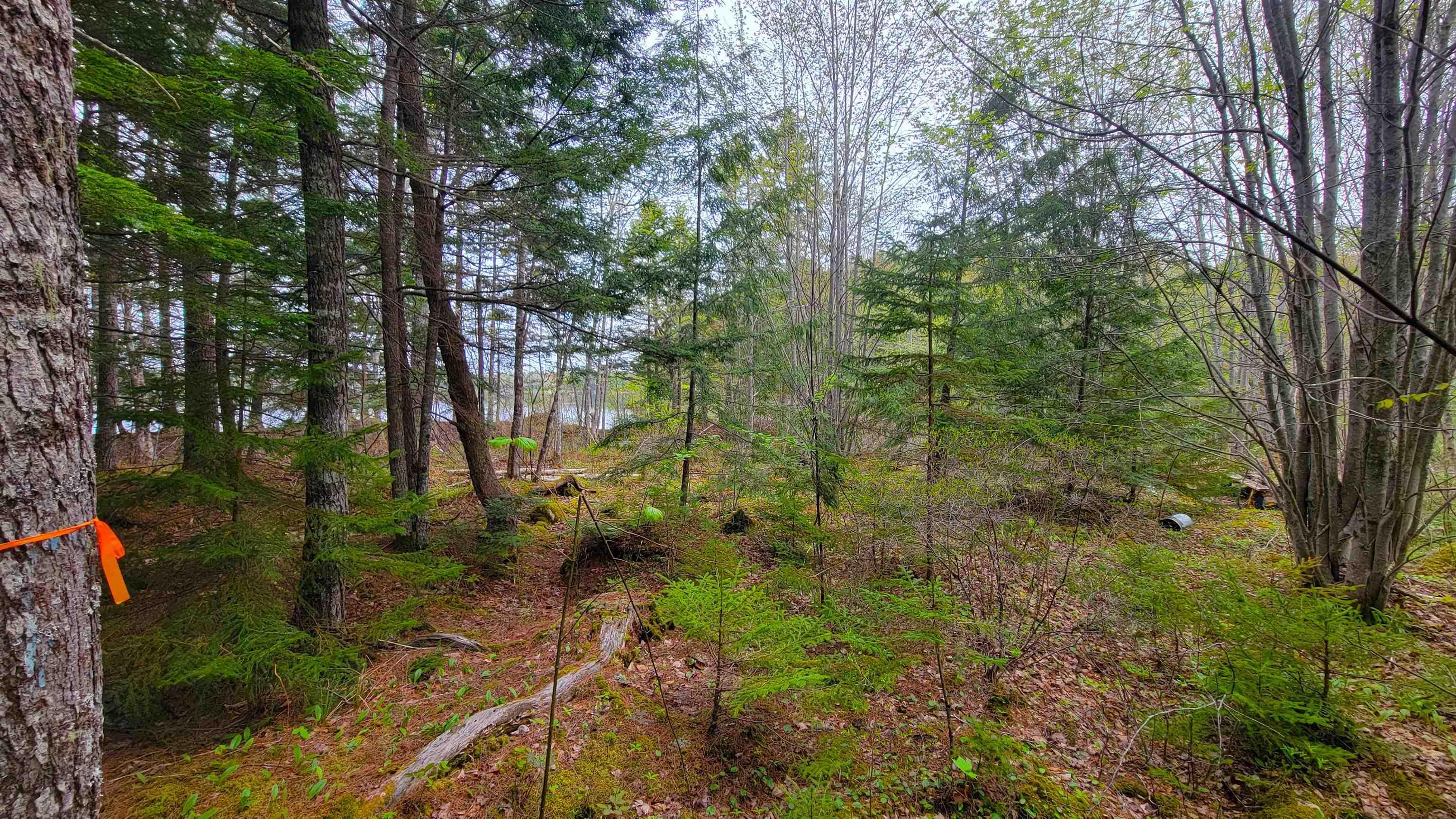 $159,900.00: 101 Madashak Road, Middle New Cornwall