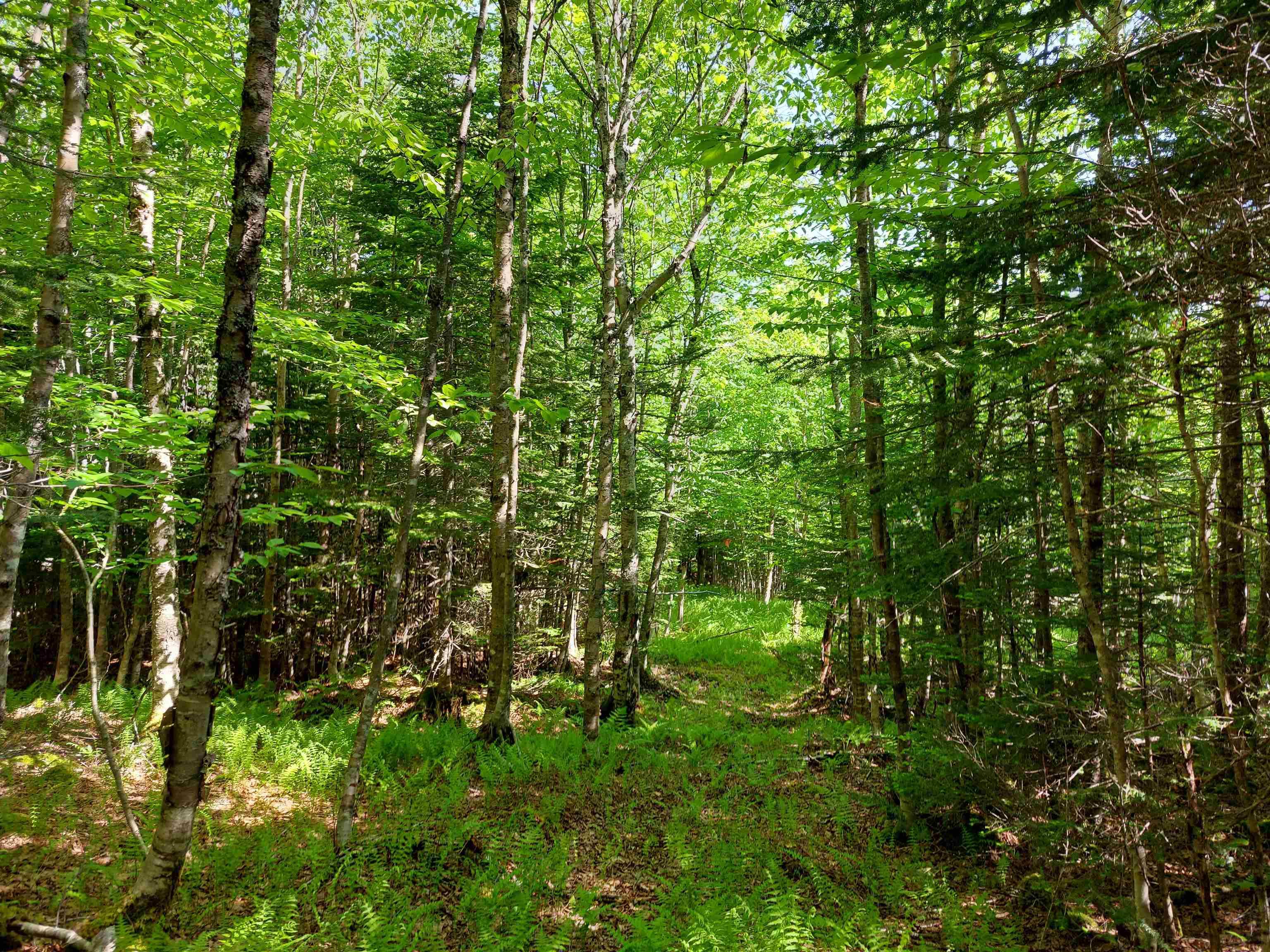 $59,000.00: Lot 76 Peter Sosna Dr., Hay Cove
