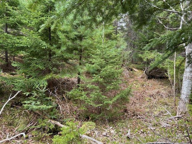 $149,000.00: Cabot Trail, Indian Brook