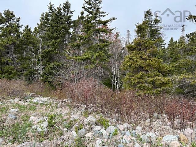 $149,000.00: Cabot Trail, Indian Brook