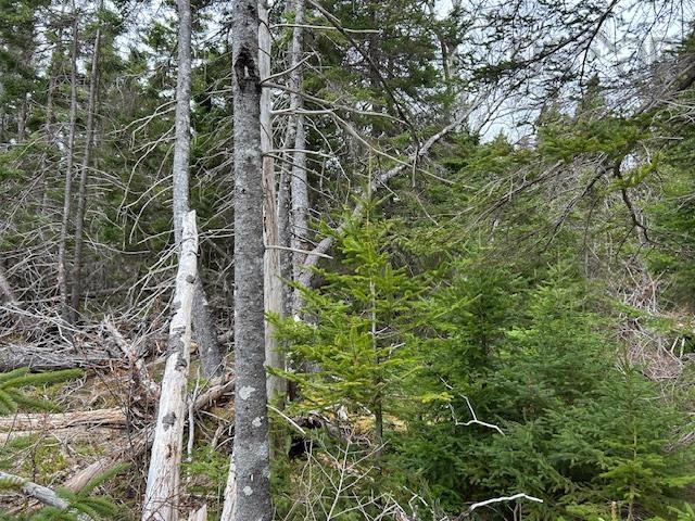 $149,000.00: Cabot Trail, Indian Brook