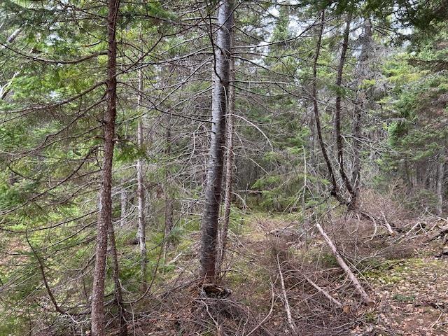 $149,000.00: Cabot Trail, Indian Brook